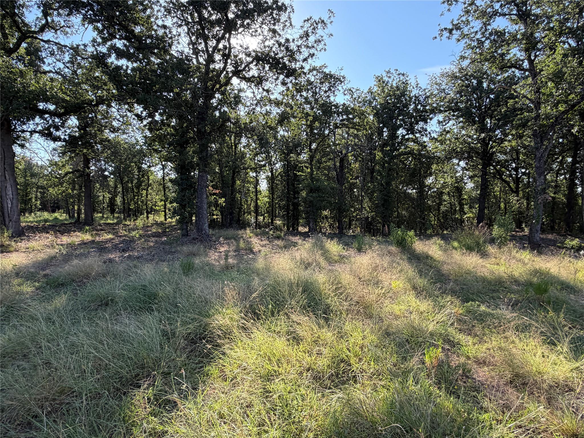main property photo 0