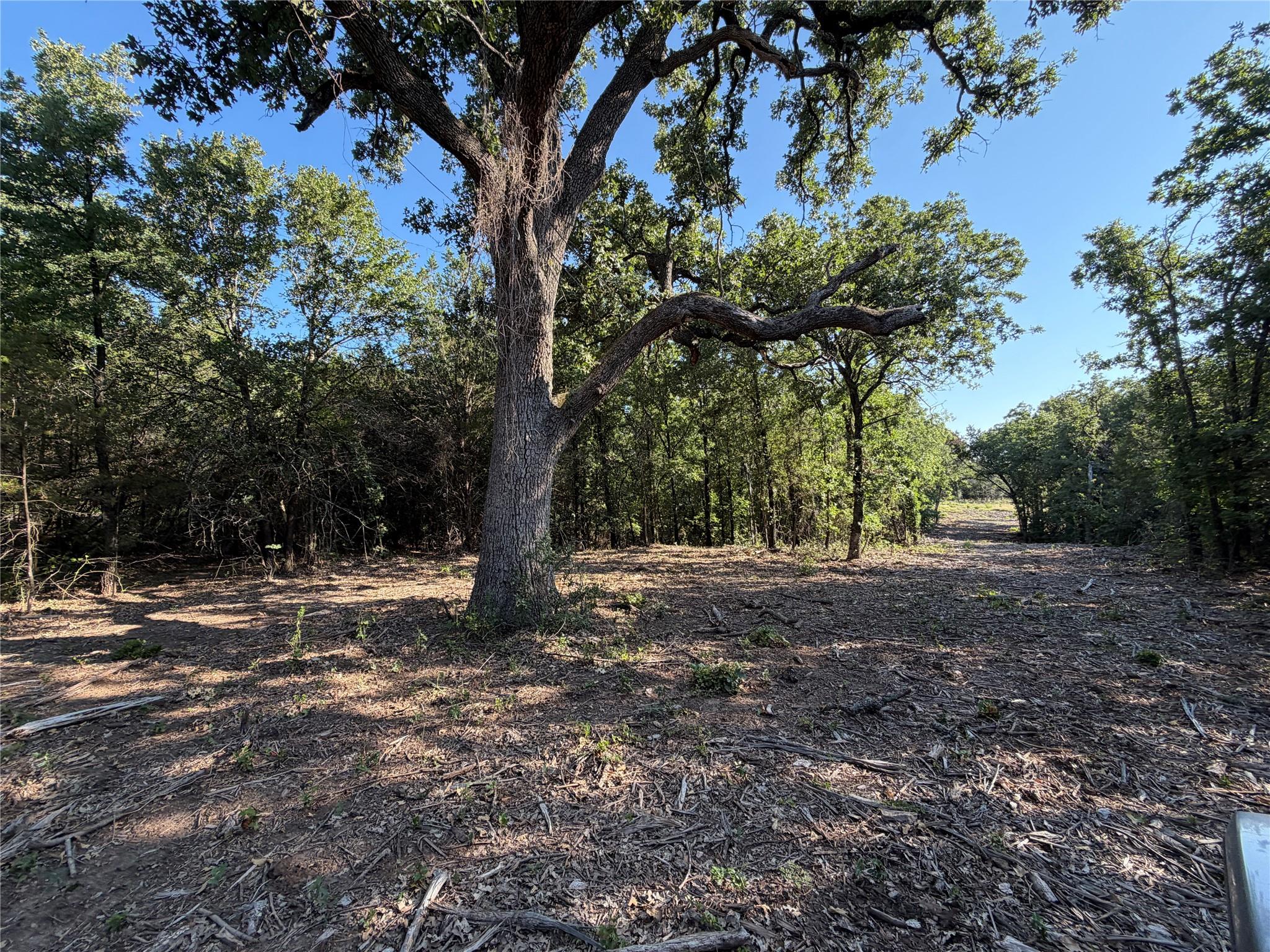 main property photo 20