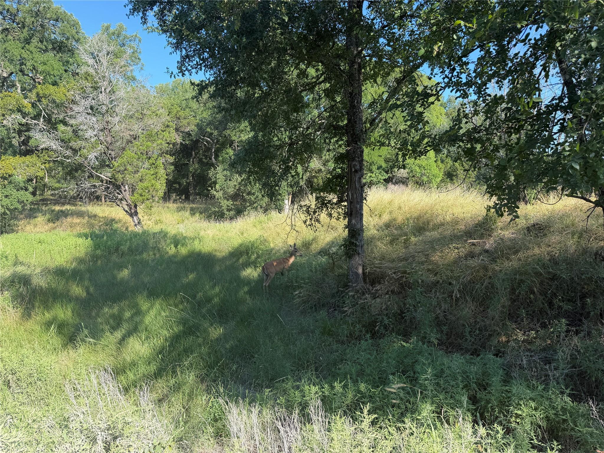 main property photo 29