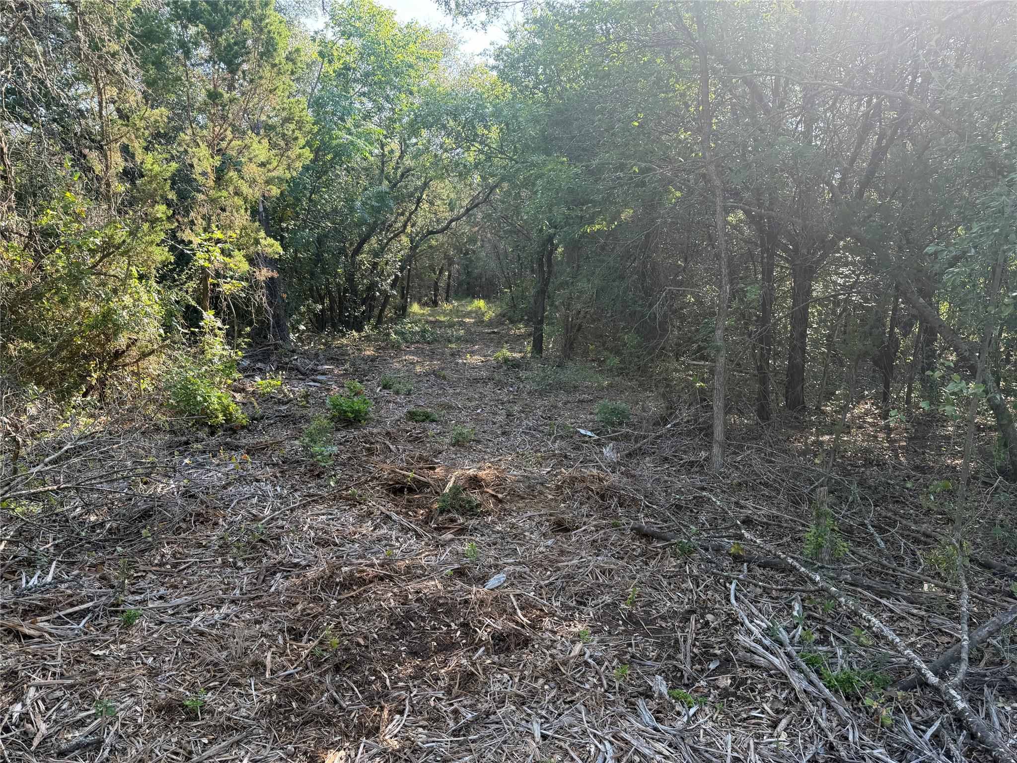 main property photo 6