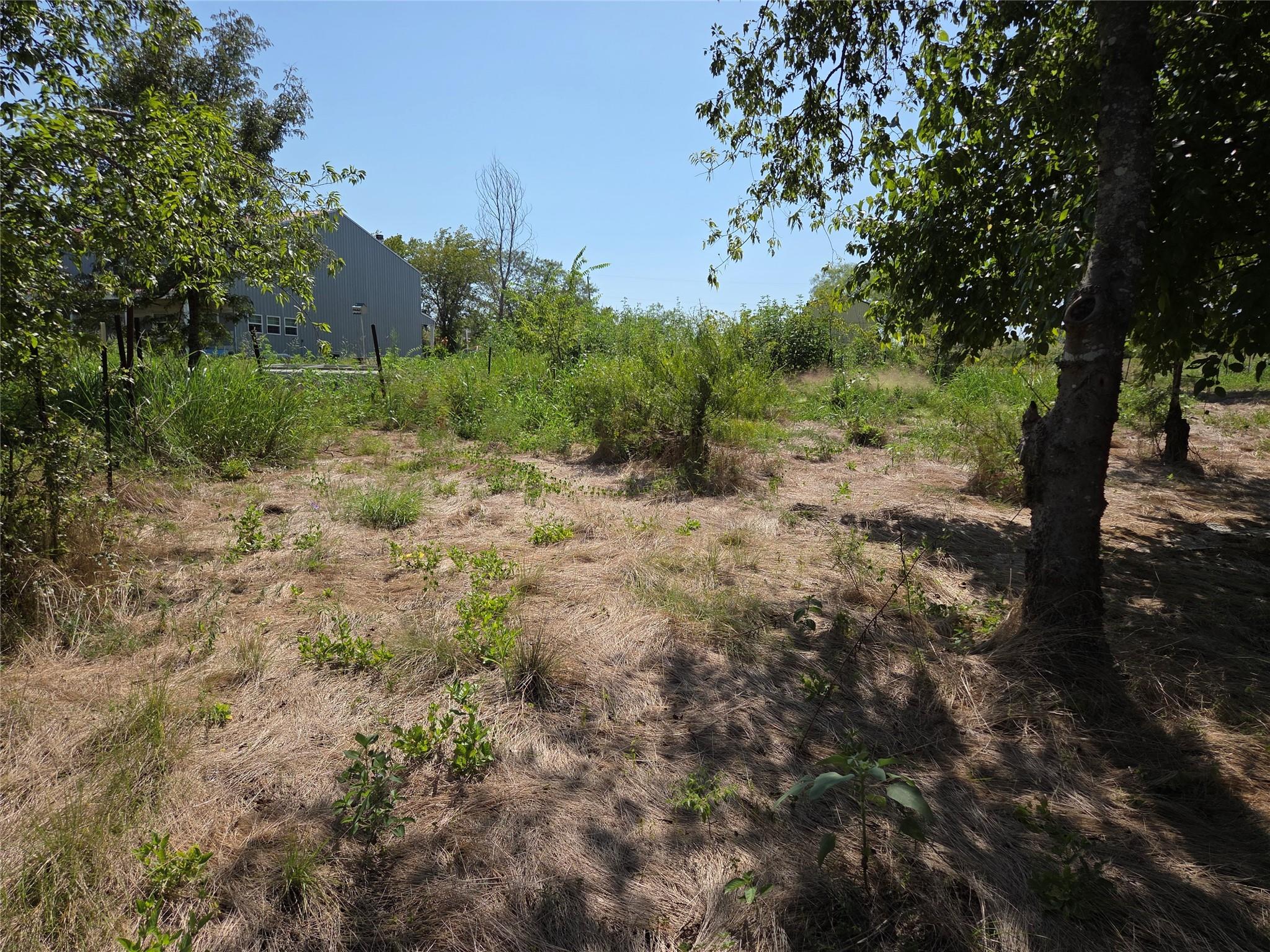 main property photo 10