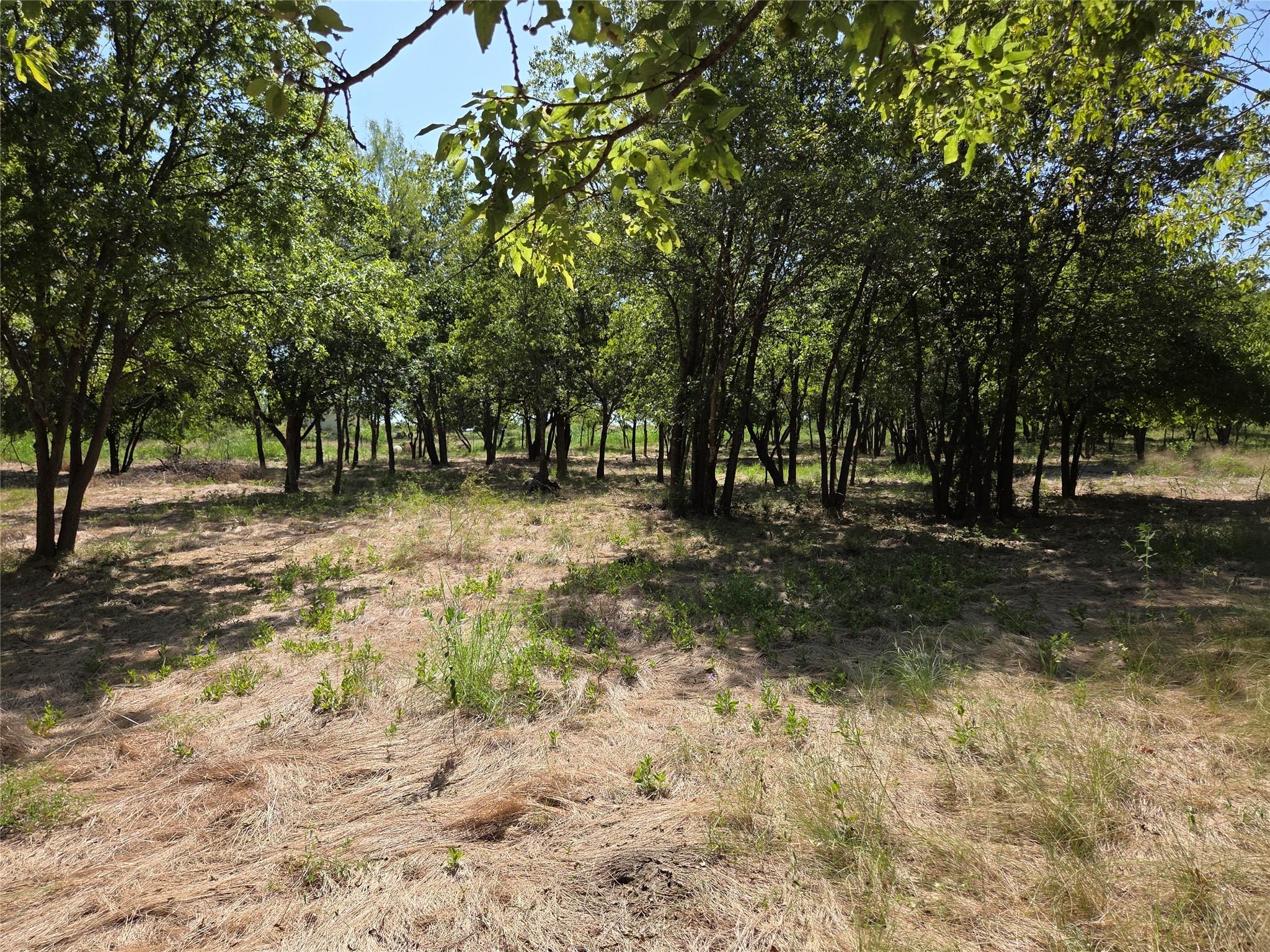 main property photo 18