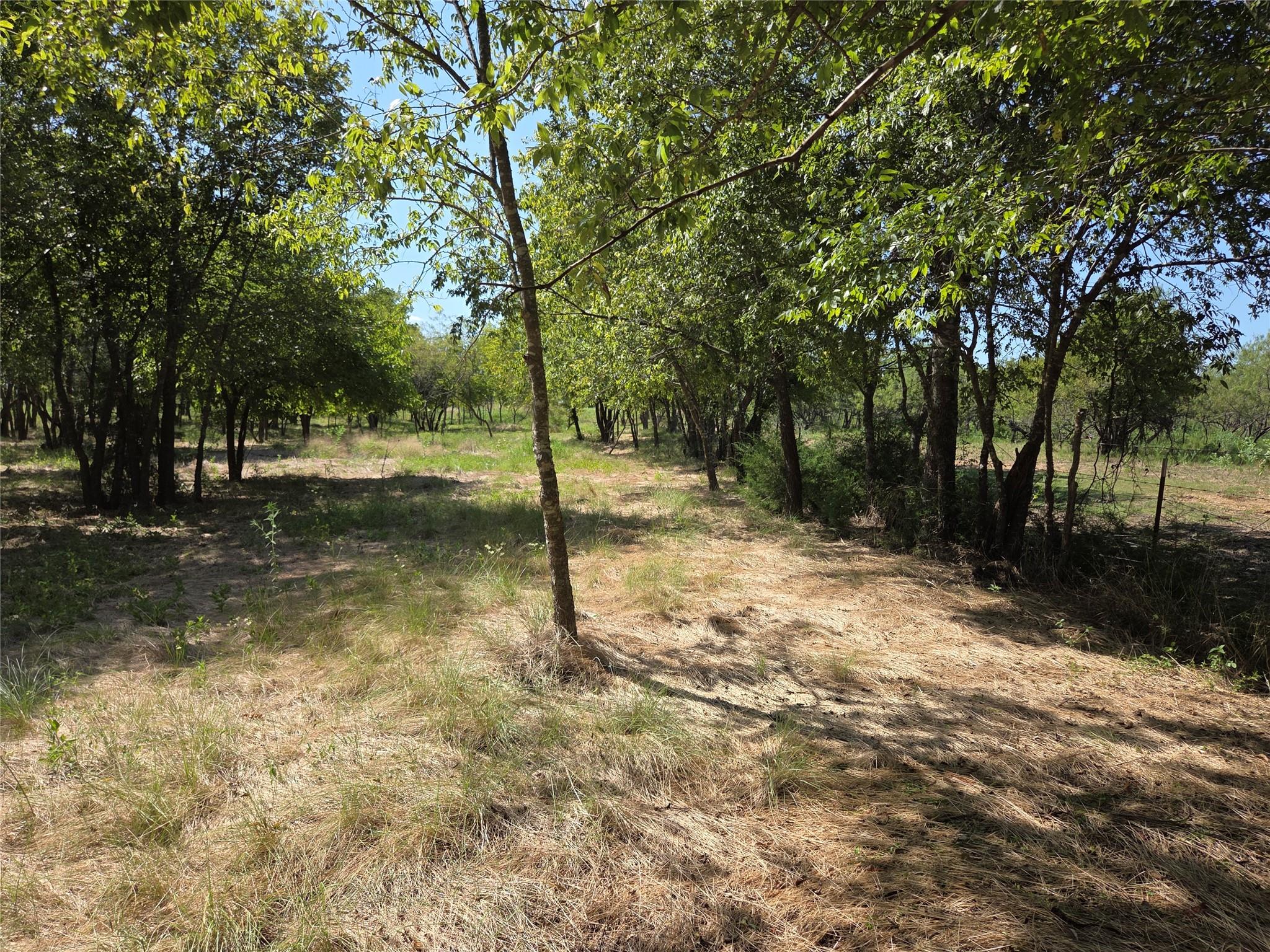 main property photo 24