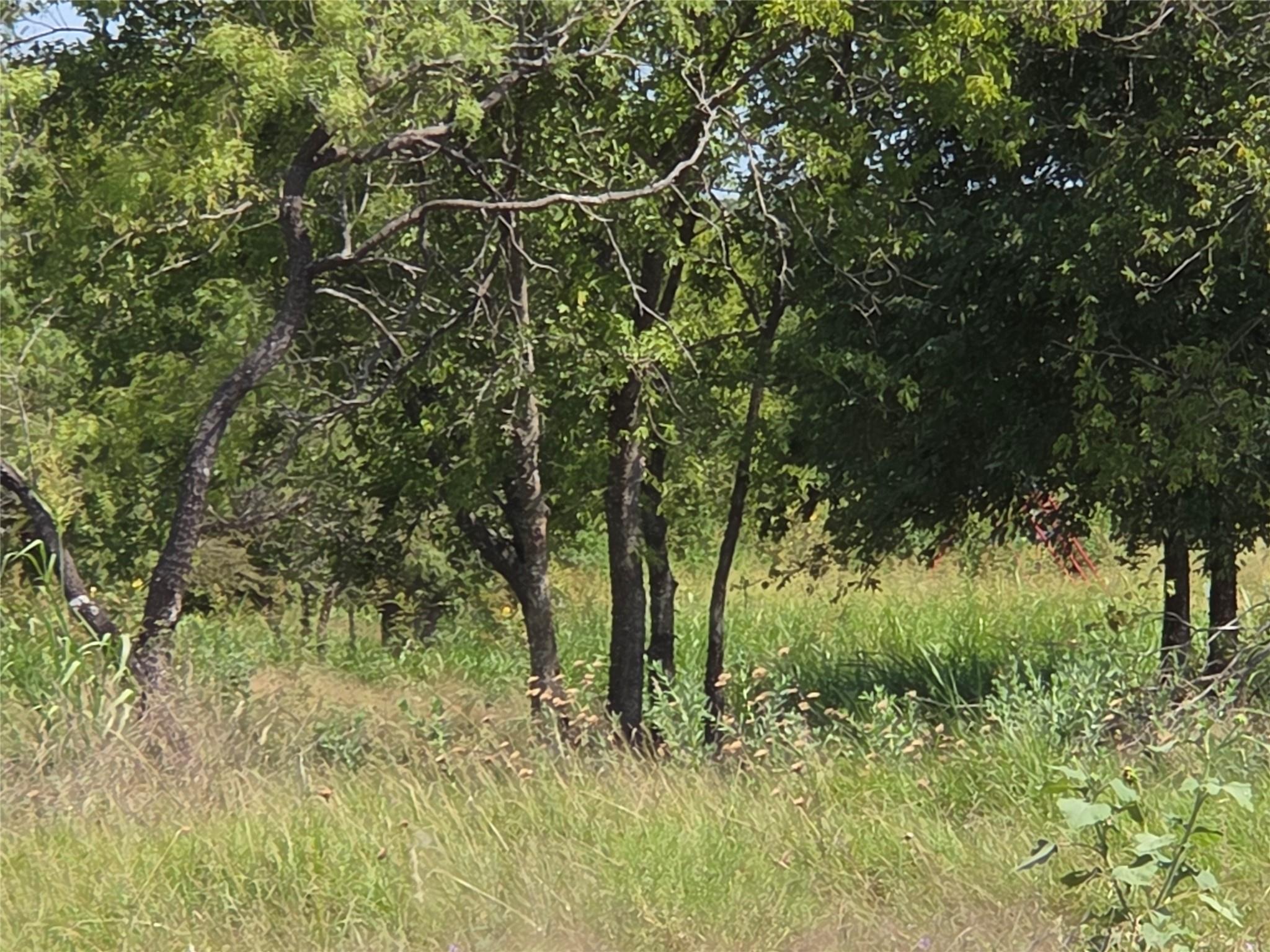 main property photo 29