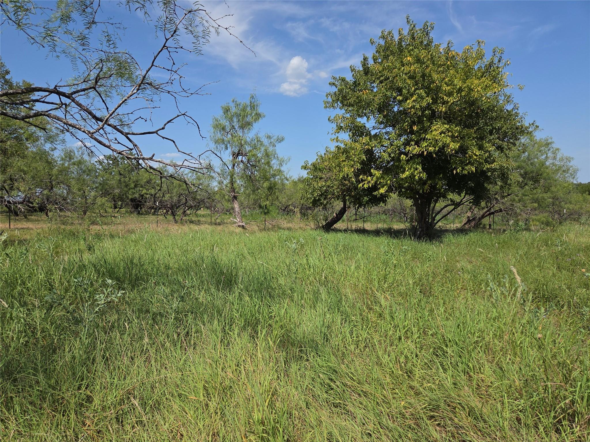 main property photo 38
