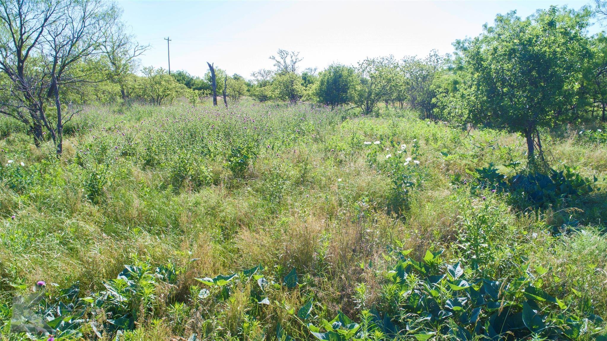 main property photo 18