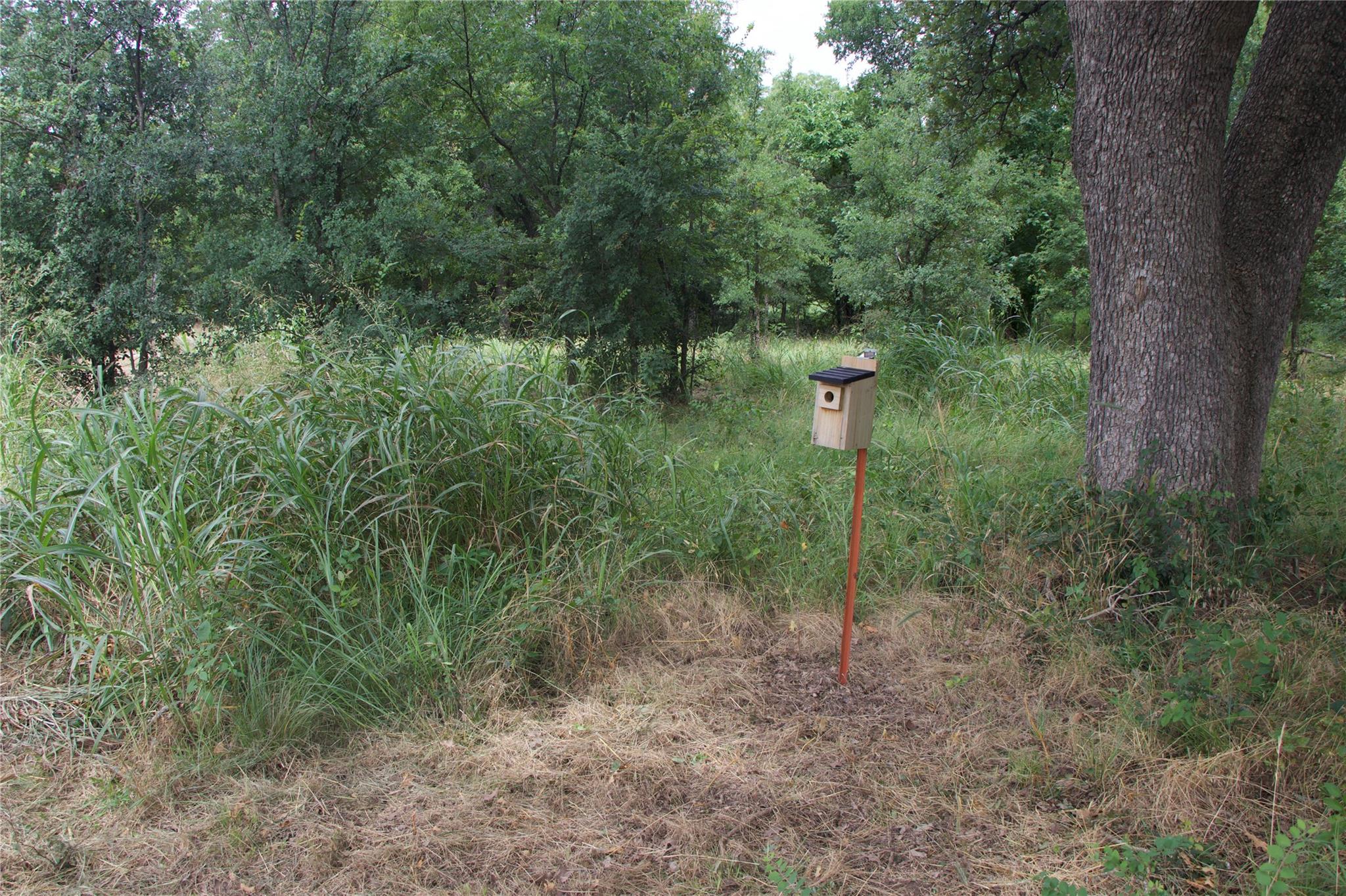 main property photo 35