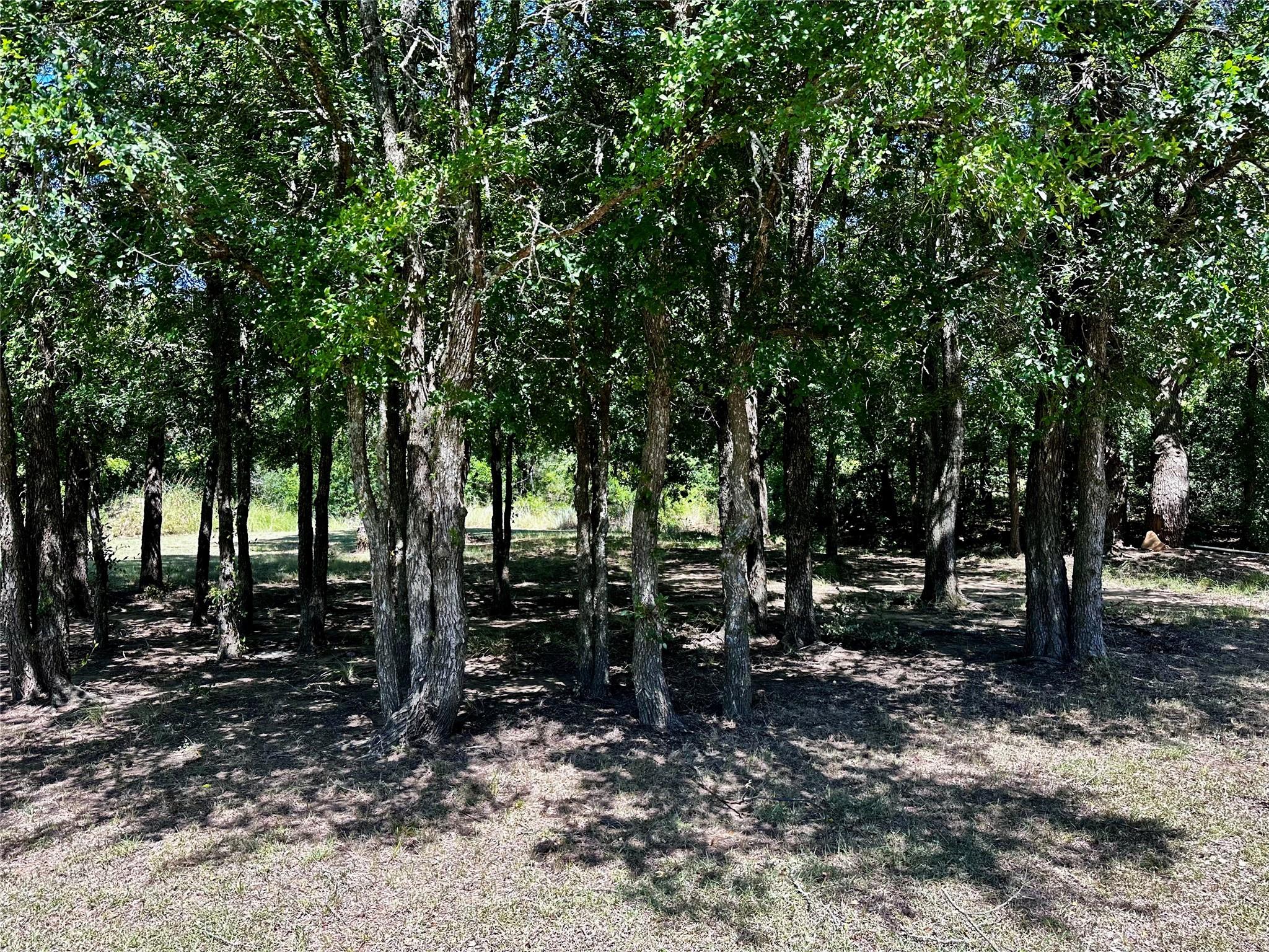 main property photo 25