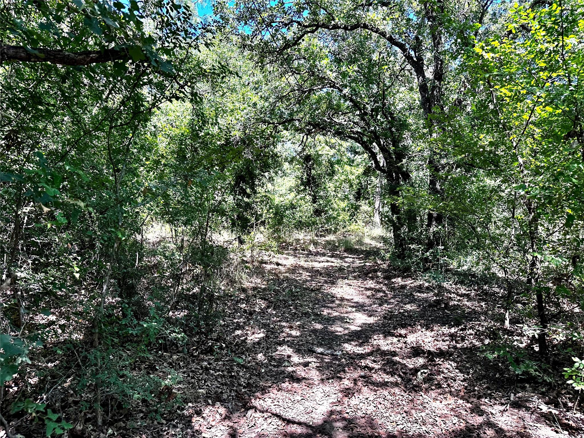 main property photo 26