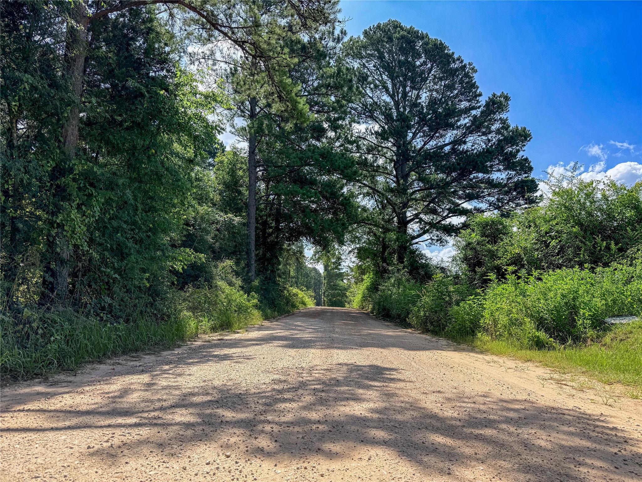 main property photo 22