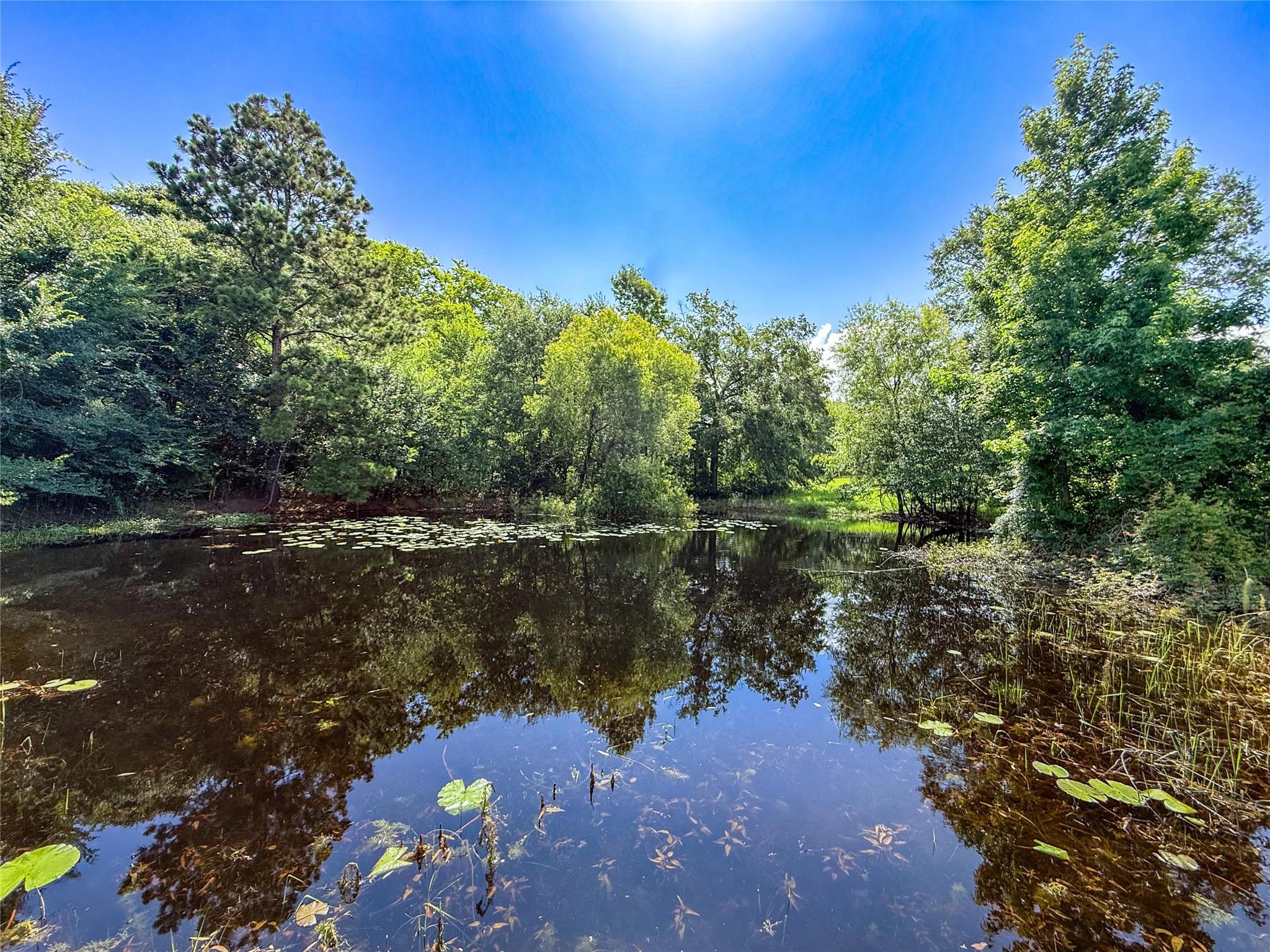 main property photo 27