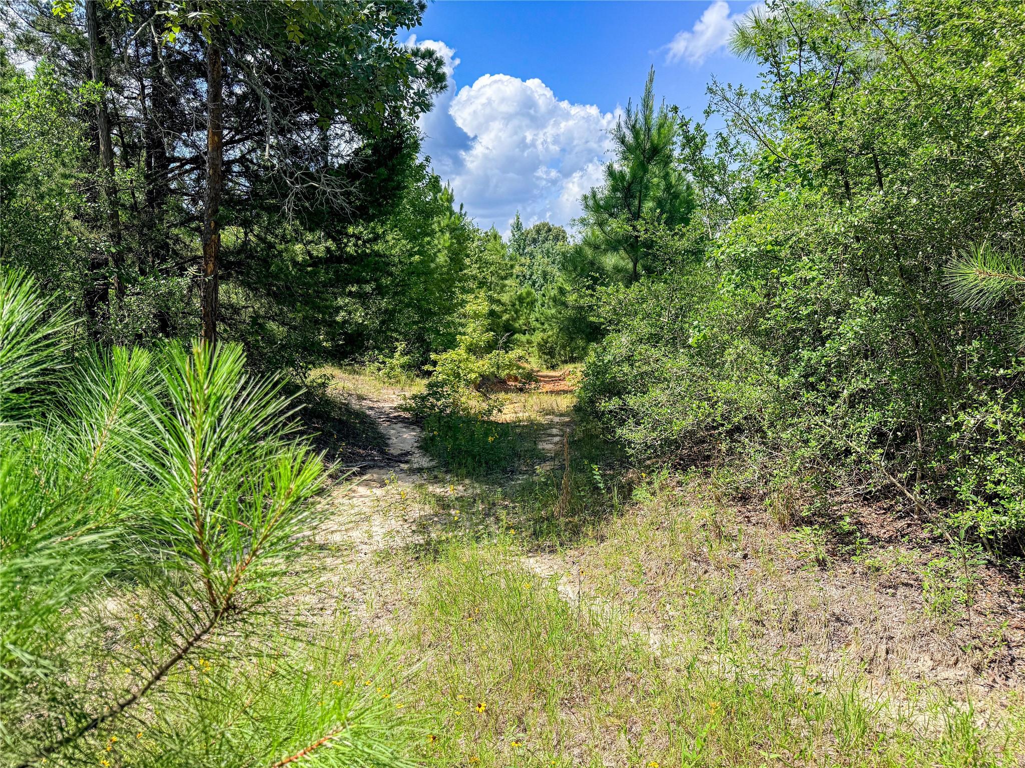 main property photo 34