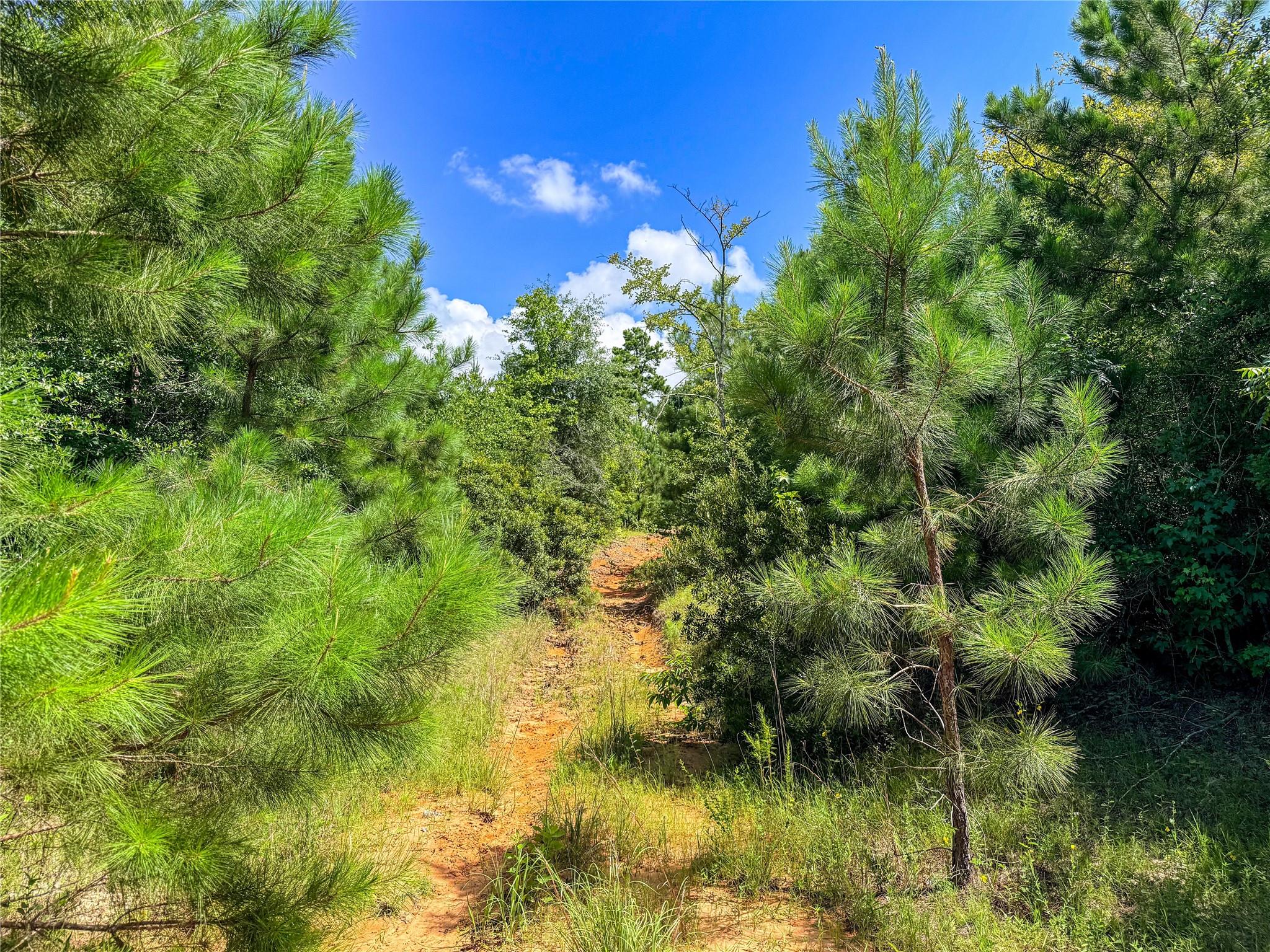 main property photo 37