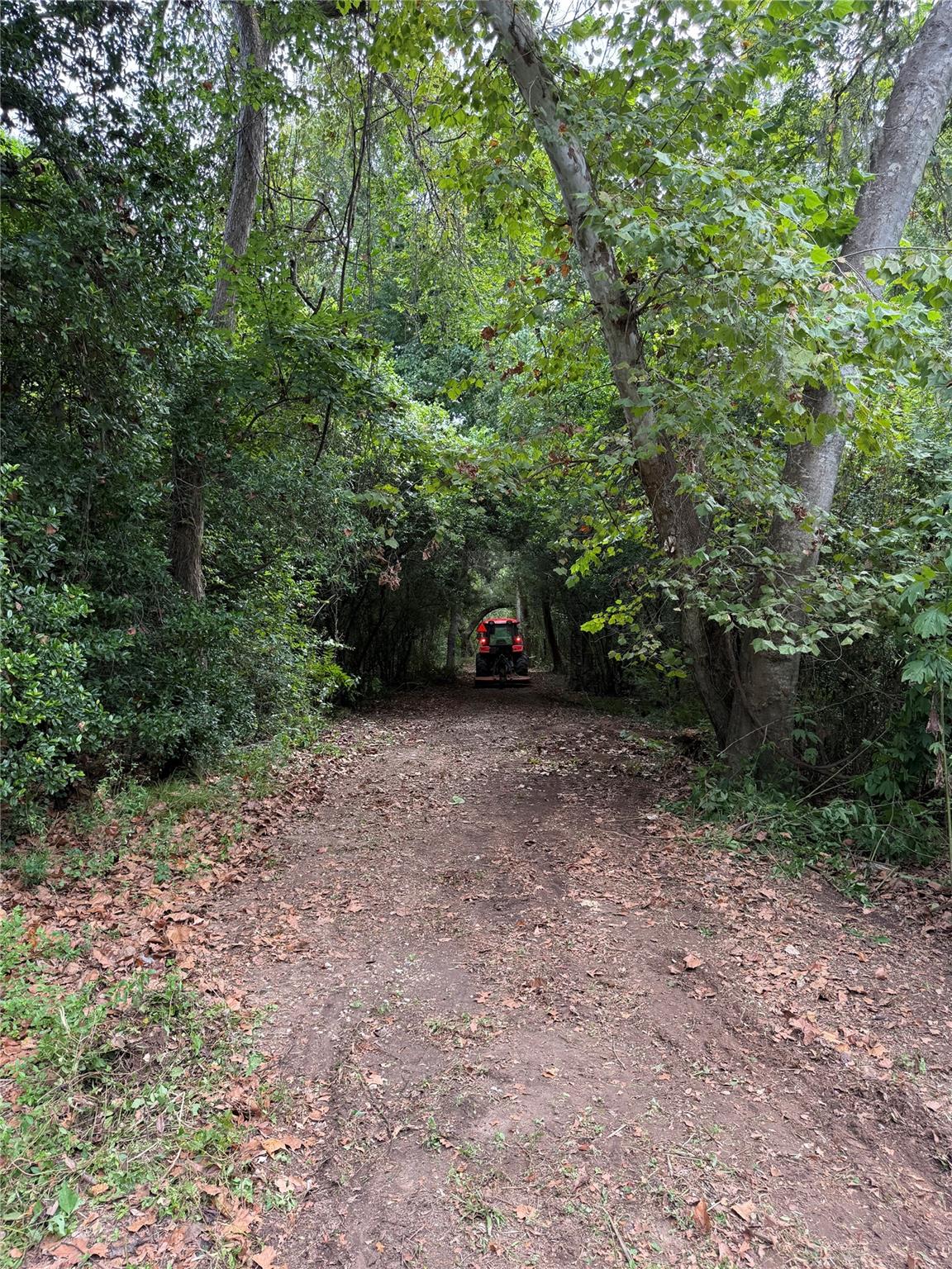 main property photo 13