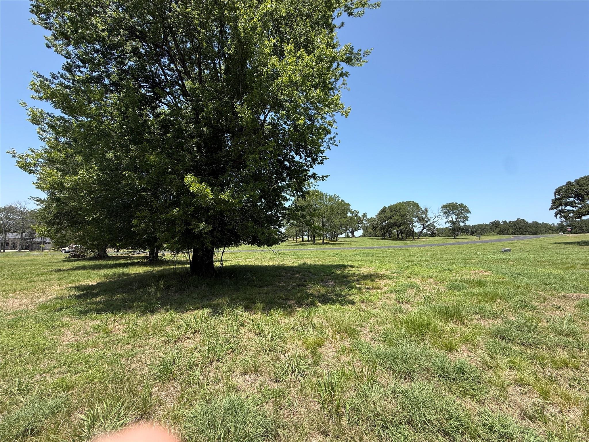 main property photo 11
