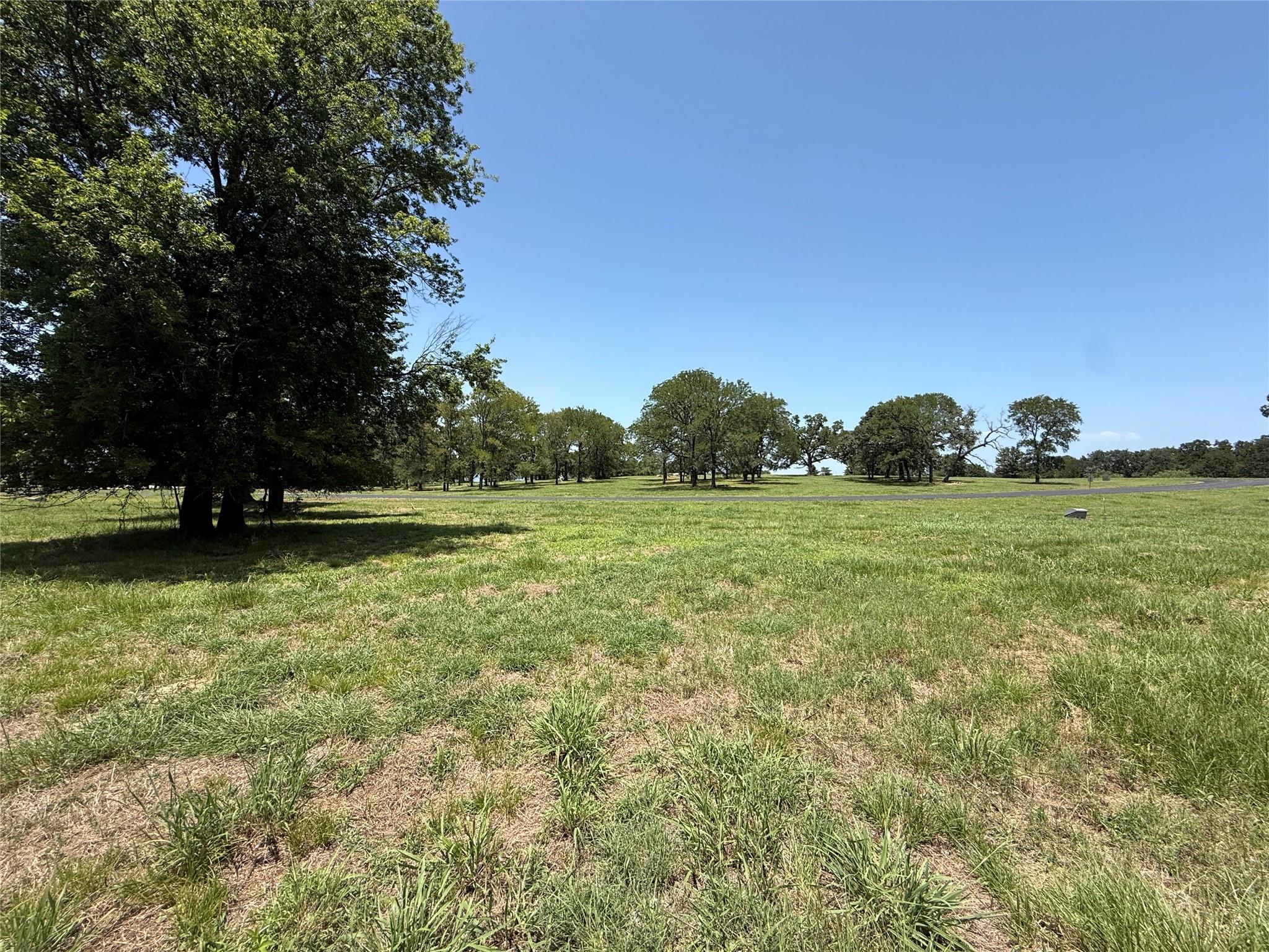 main property photo 12