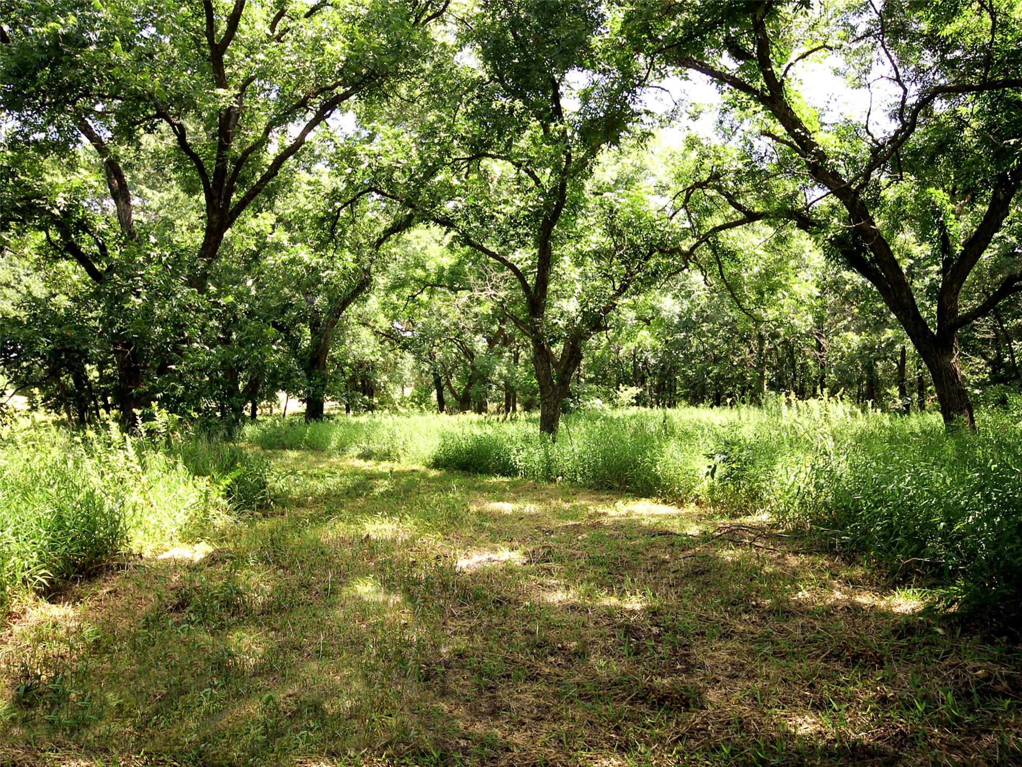main property photo 22
