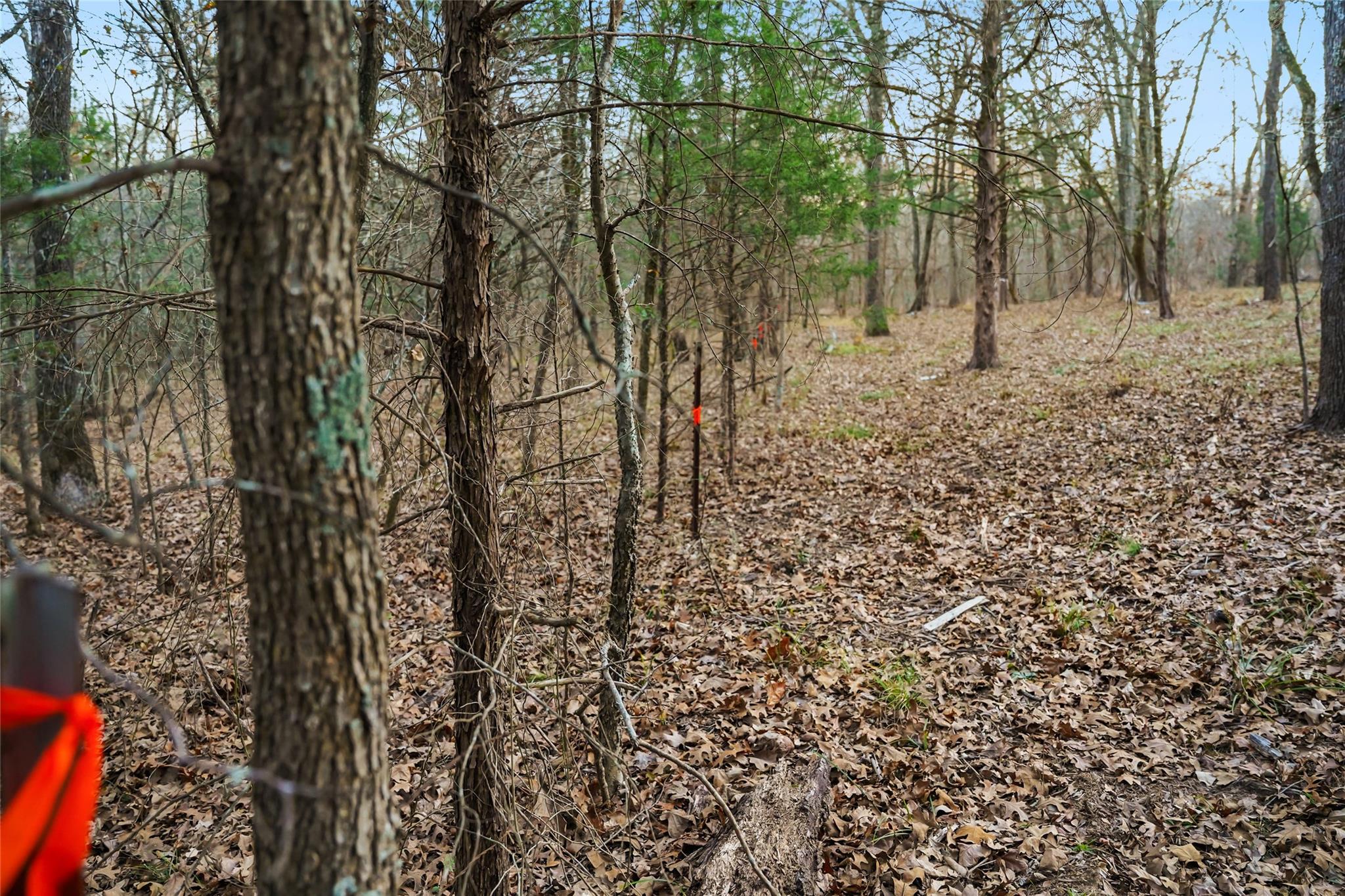 main property photo 11