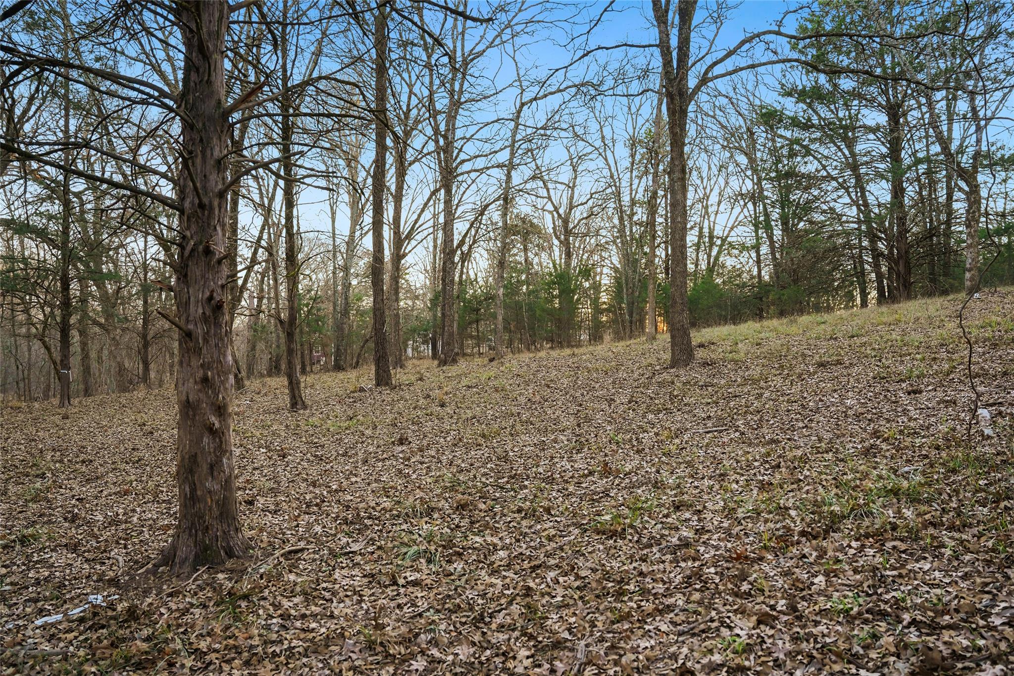 main property photo 12