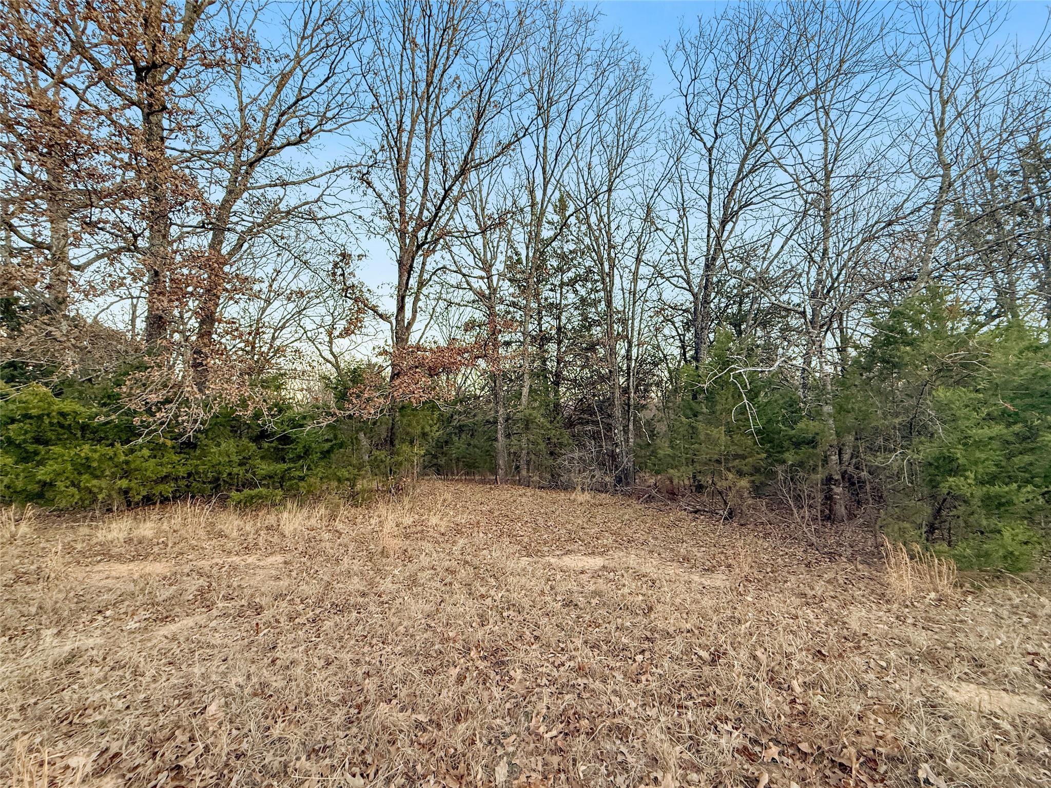 main property photo 13
