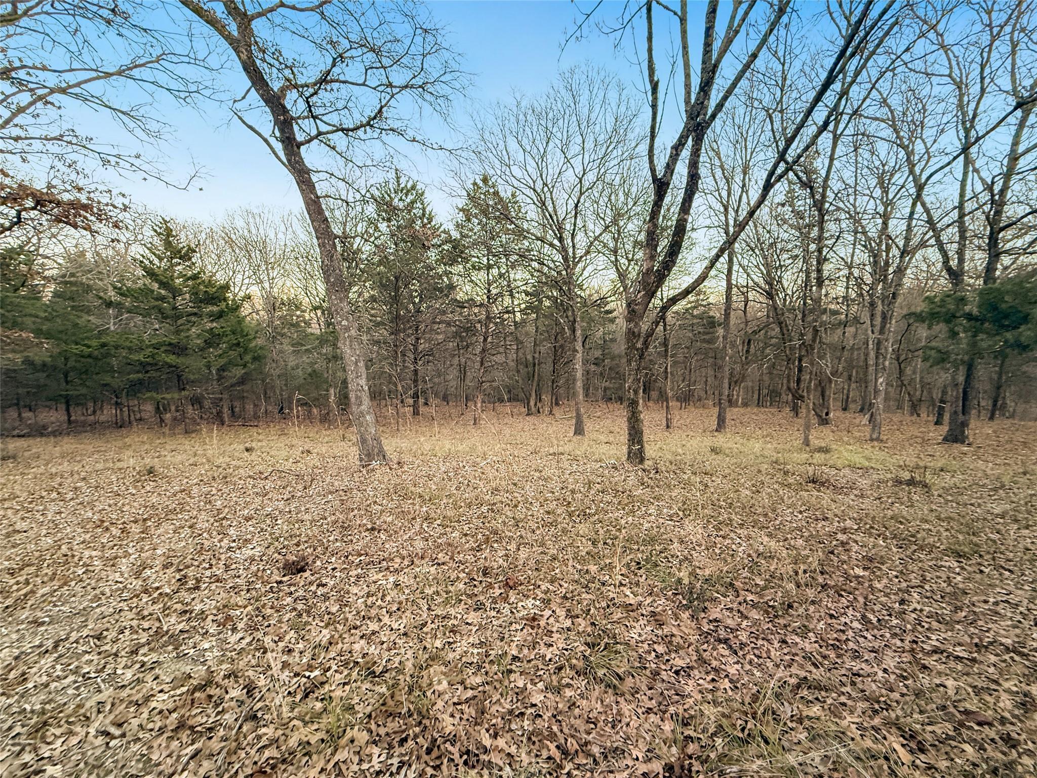 main property photo 15