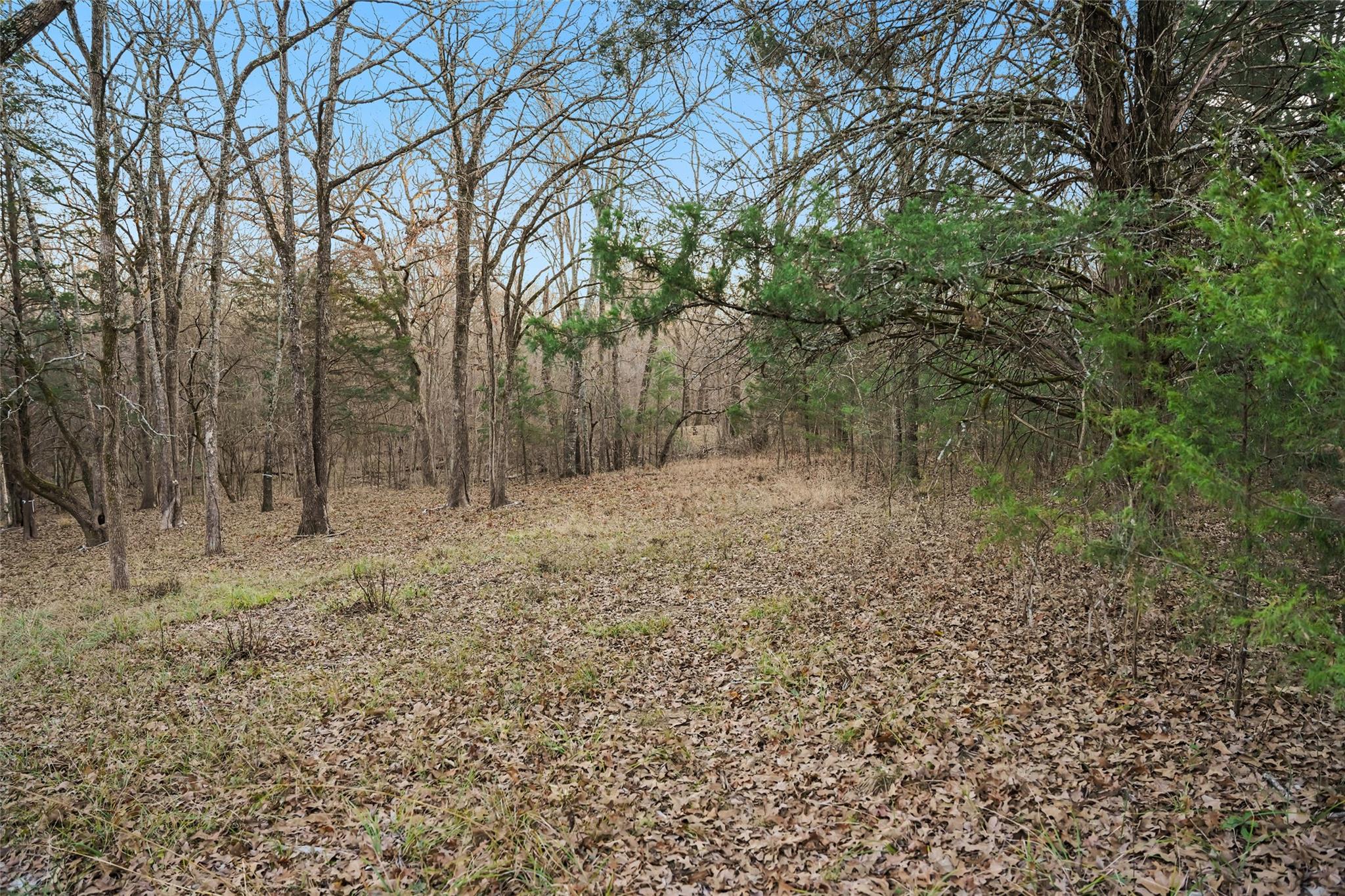 main property photo 5
