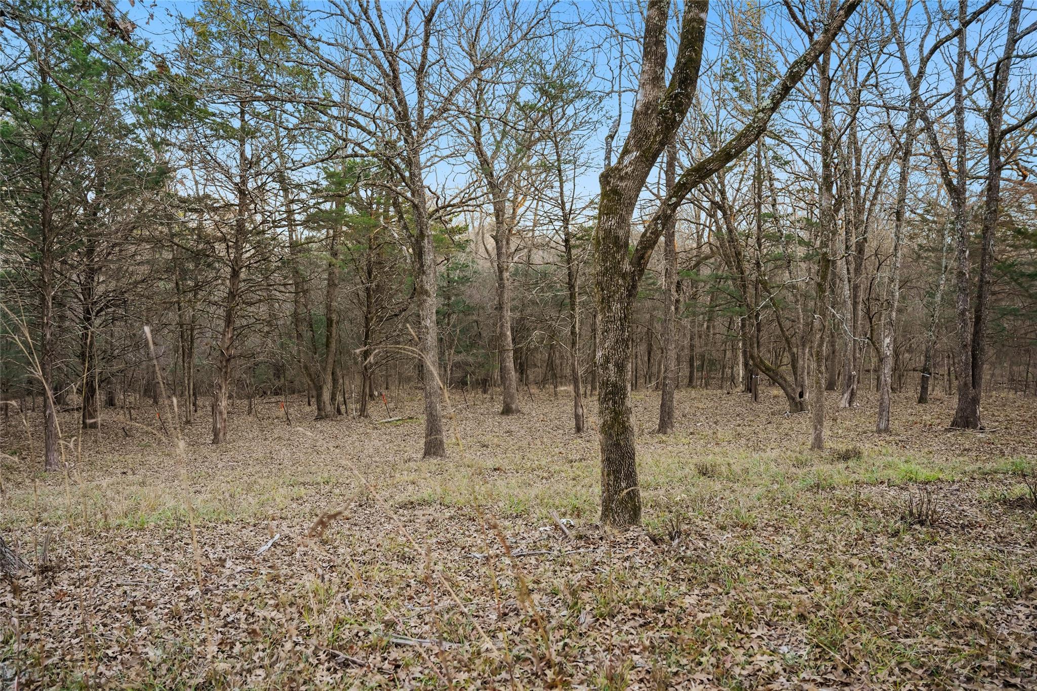 main property photo 6