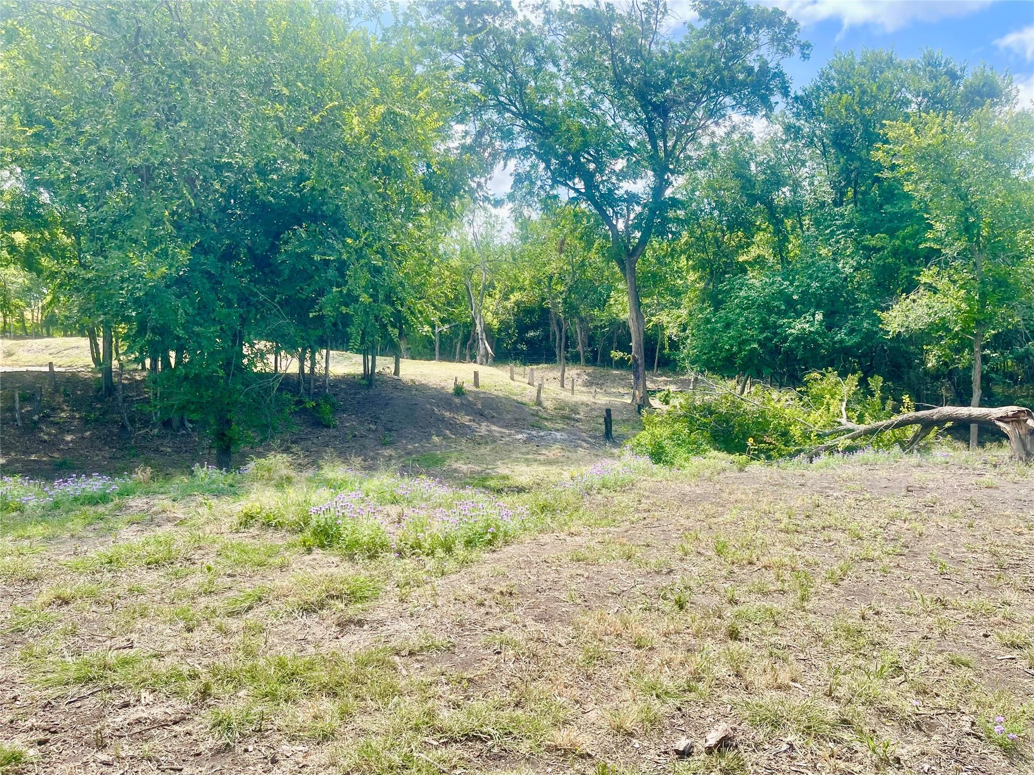 main property photo 10