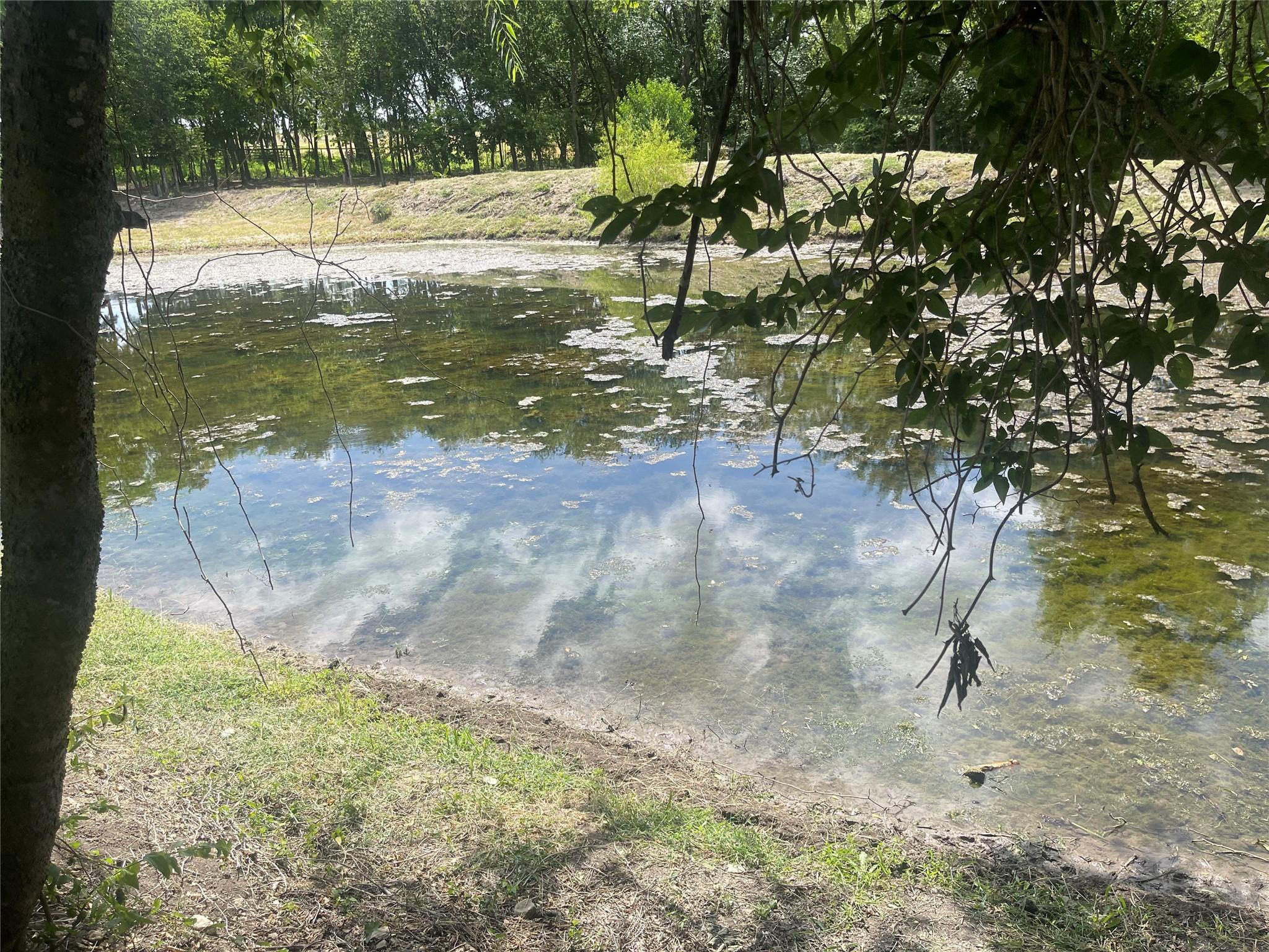 main property photo 6