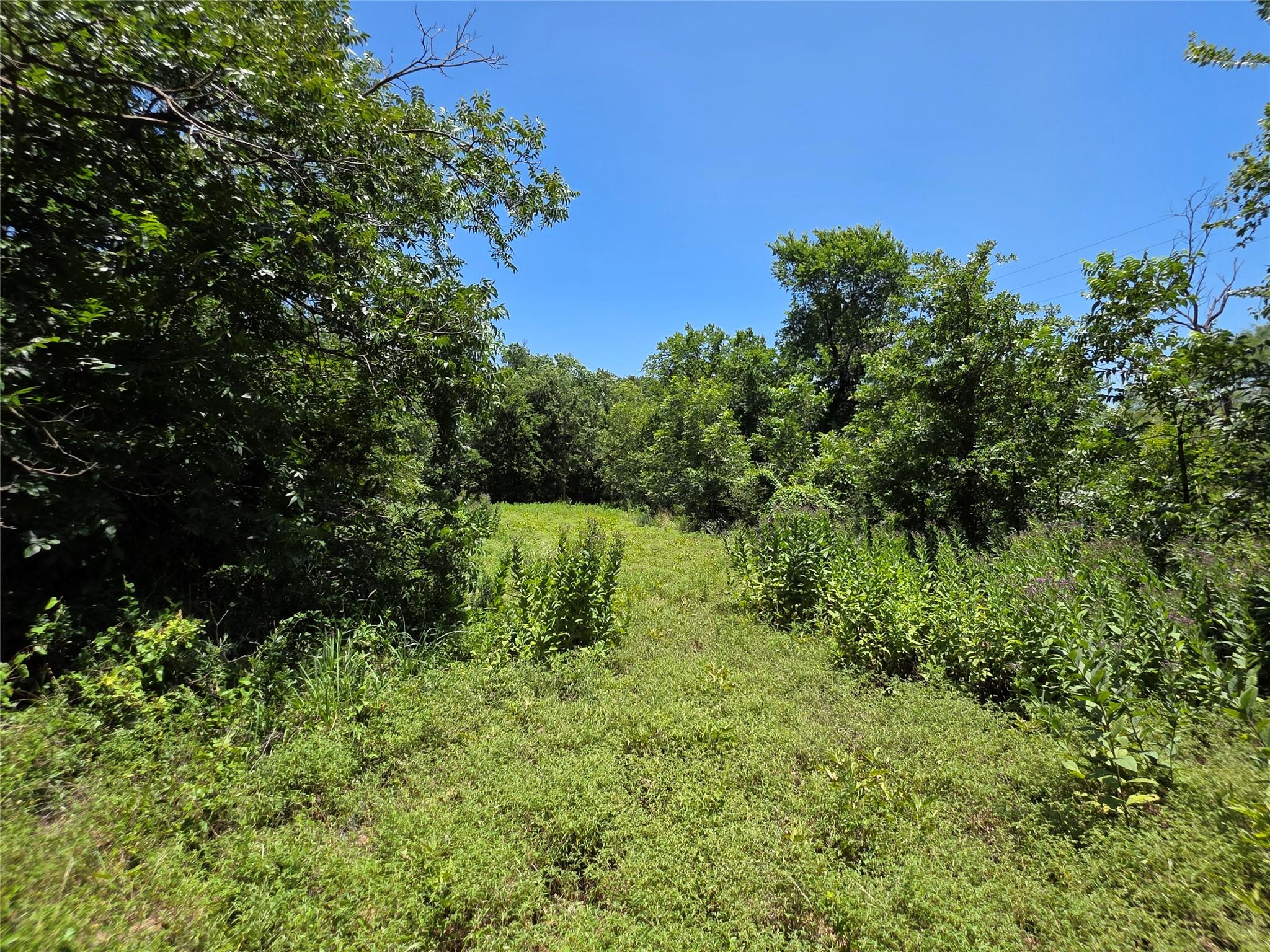 main property photo 26