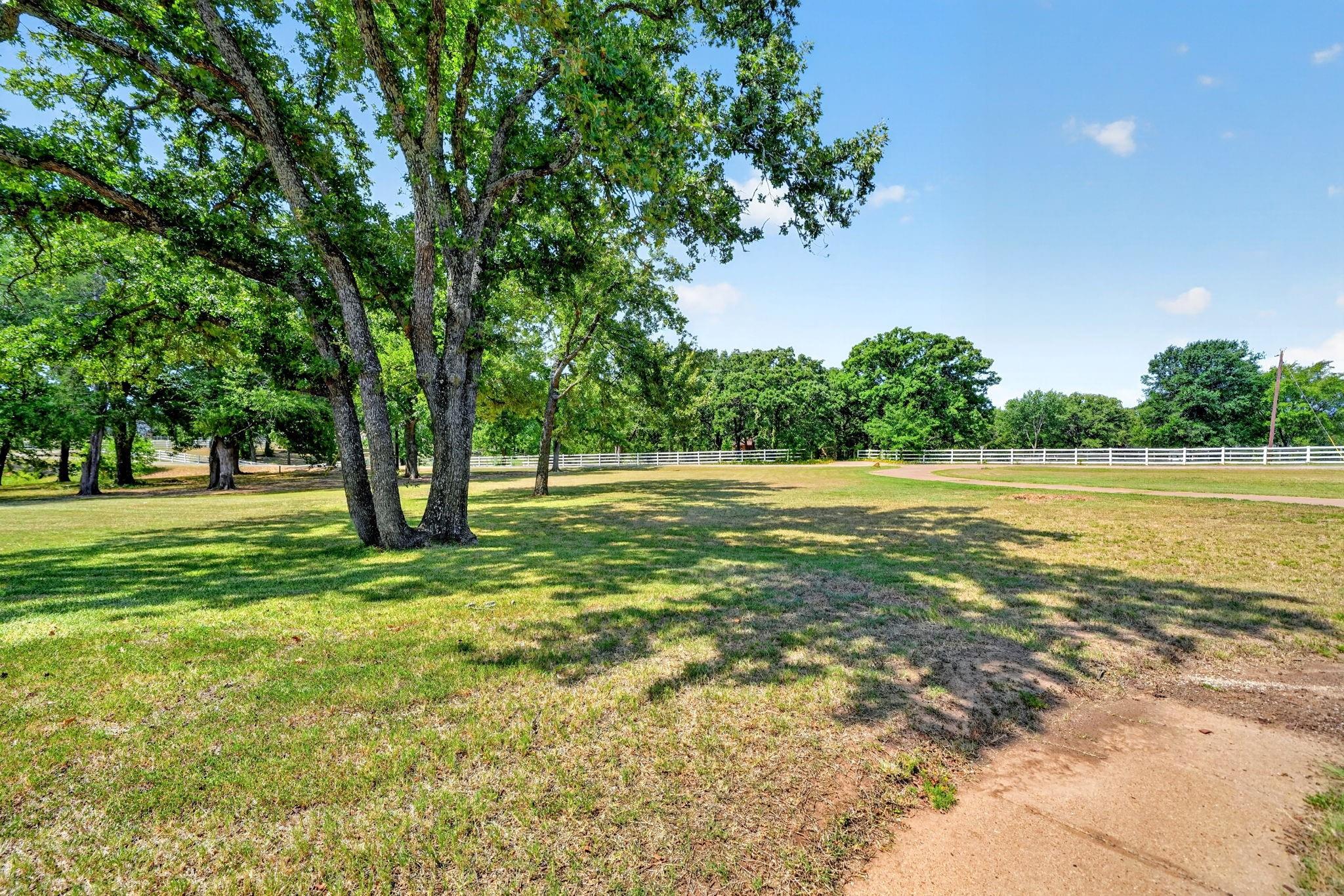 main property photo 32