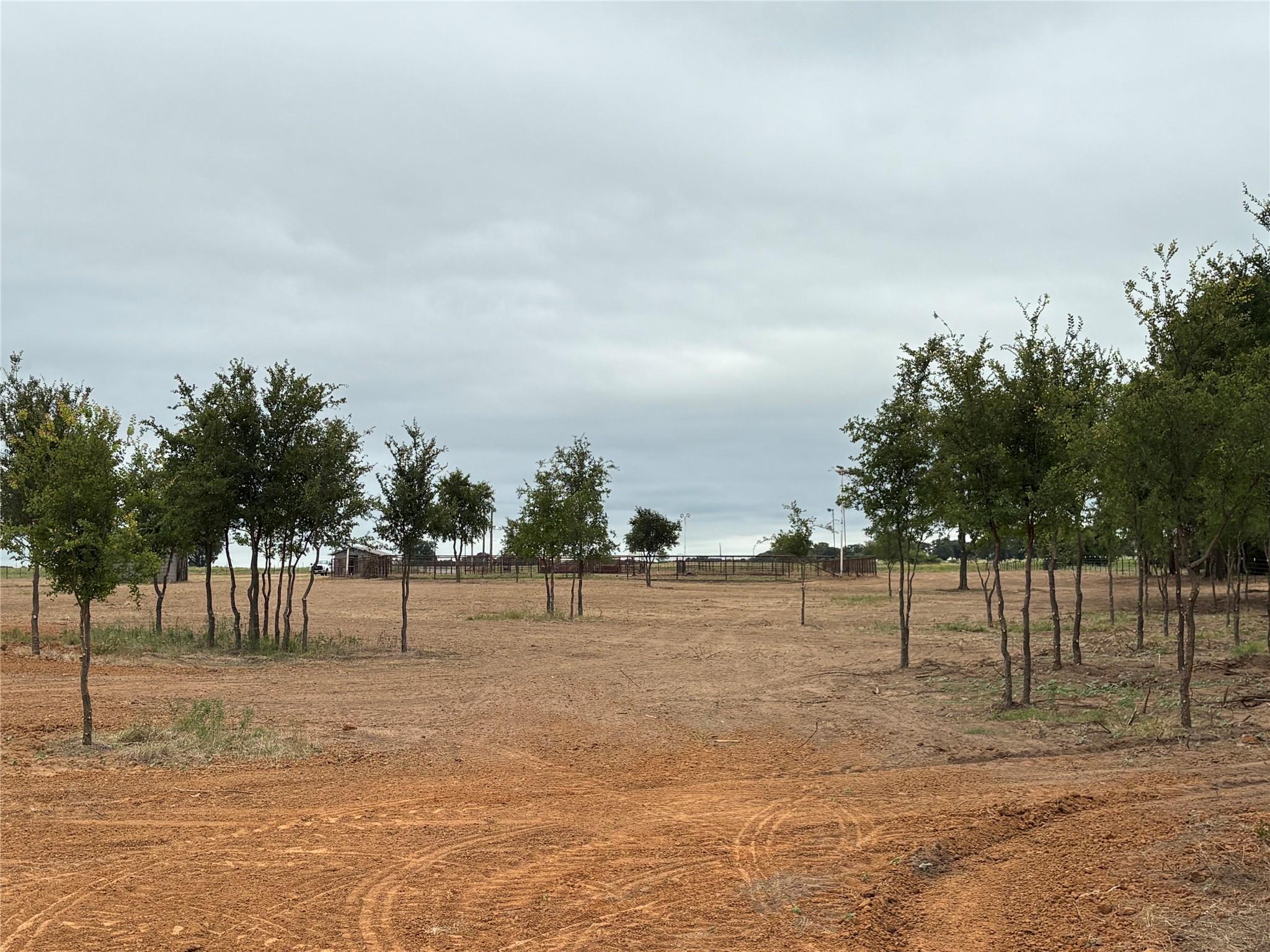 main property photo 12