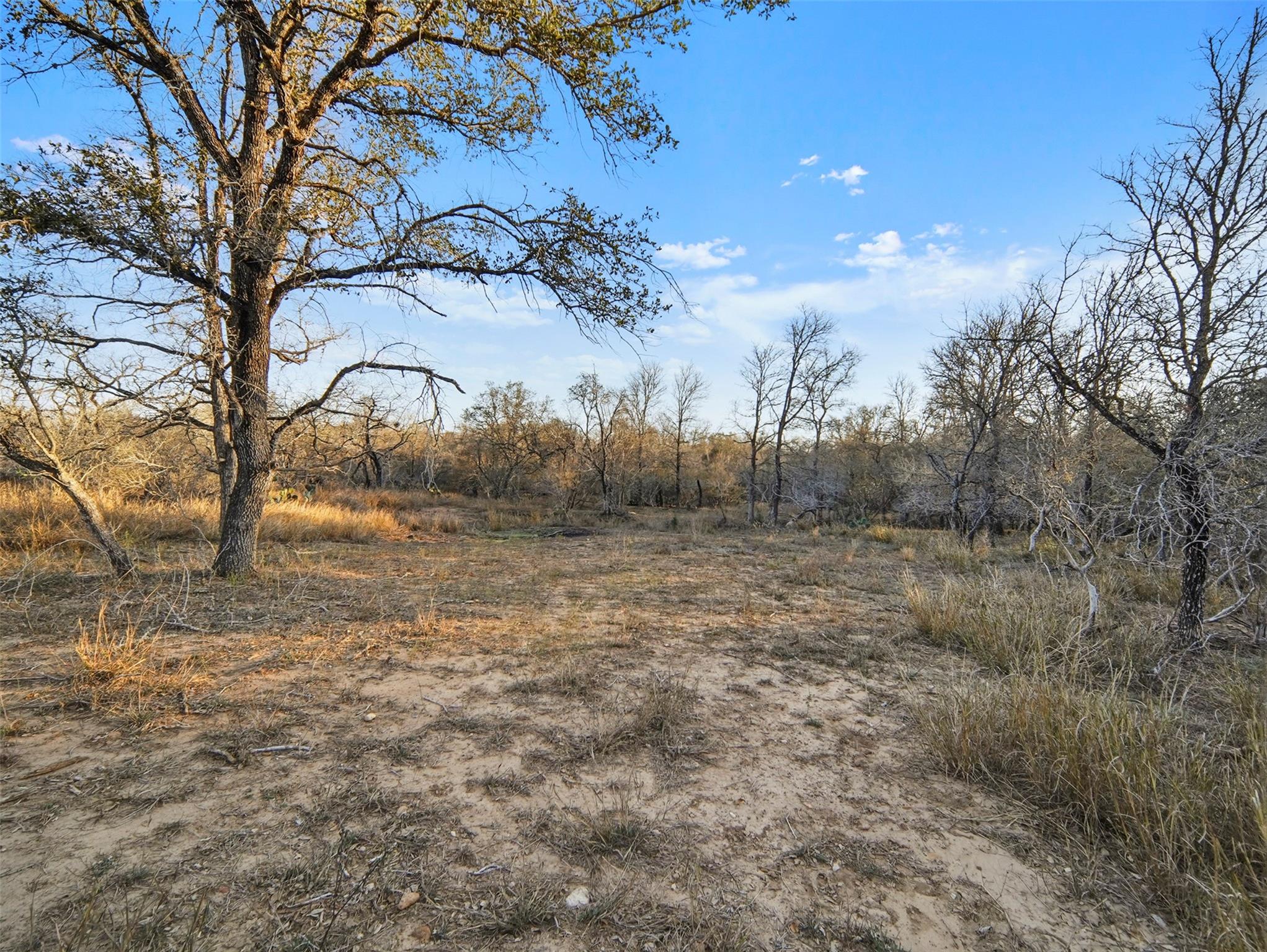 main property photo 32