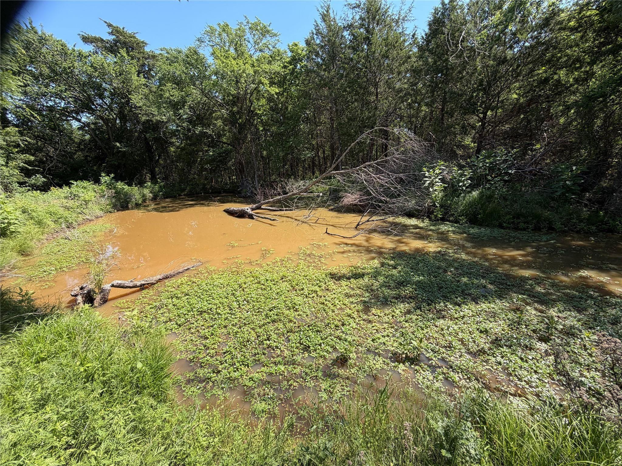 main property photo 9