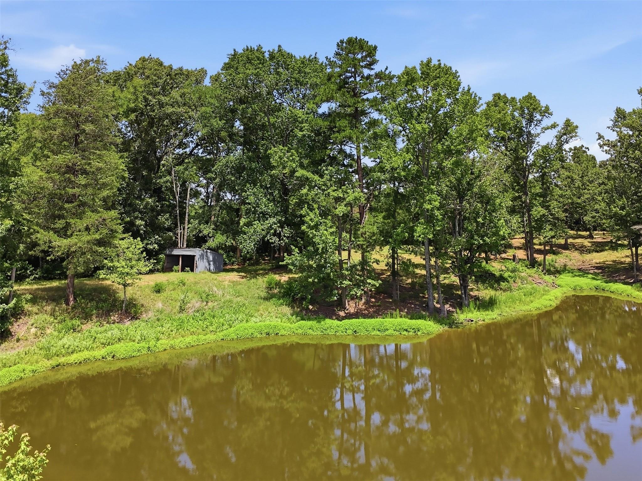 main property photo 37