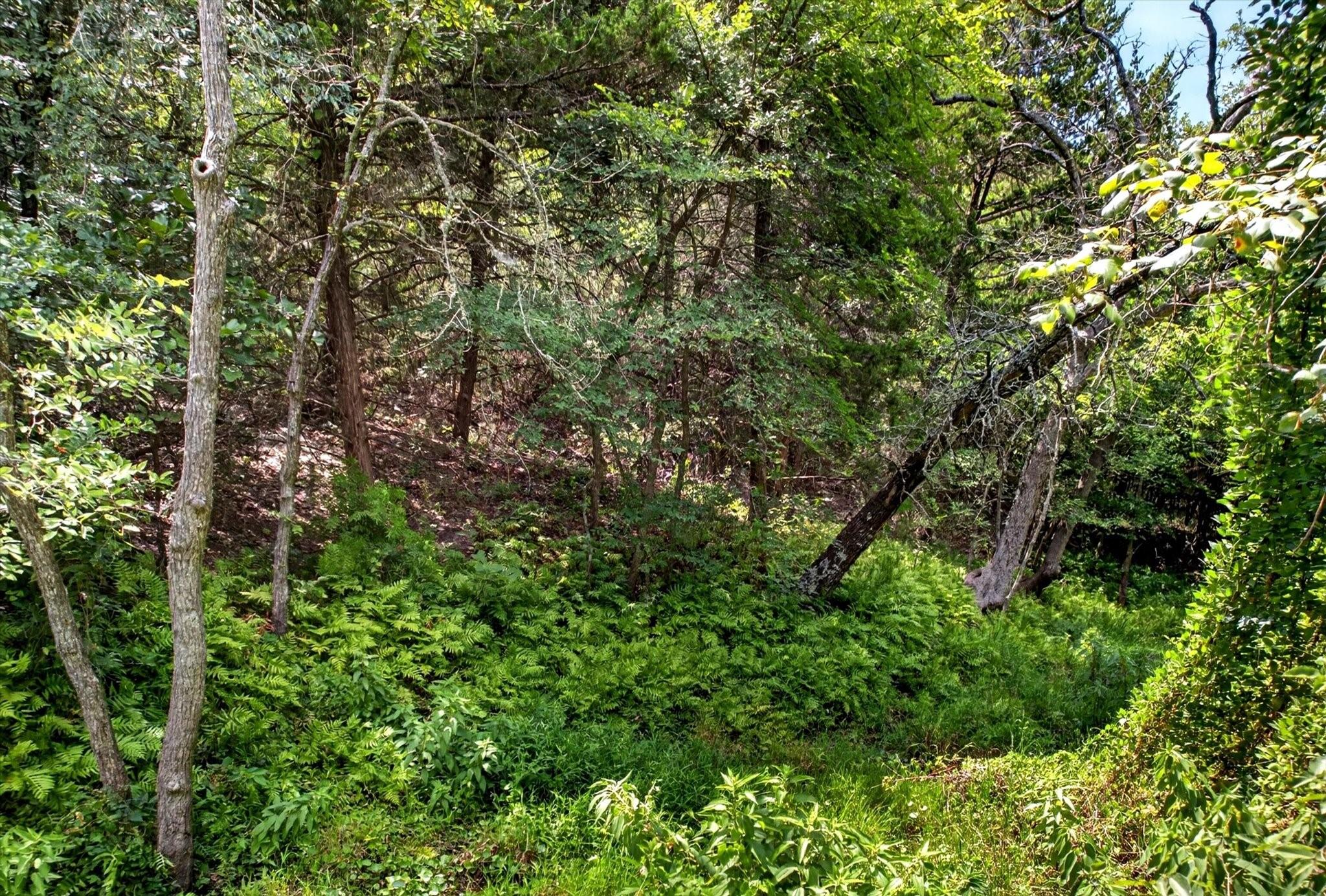 main property photo 11
