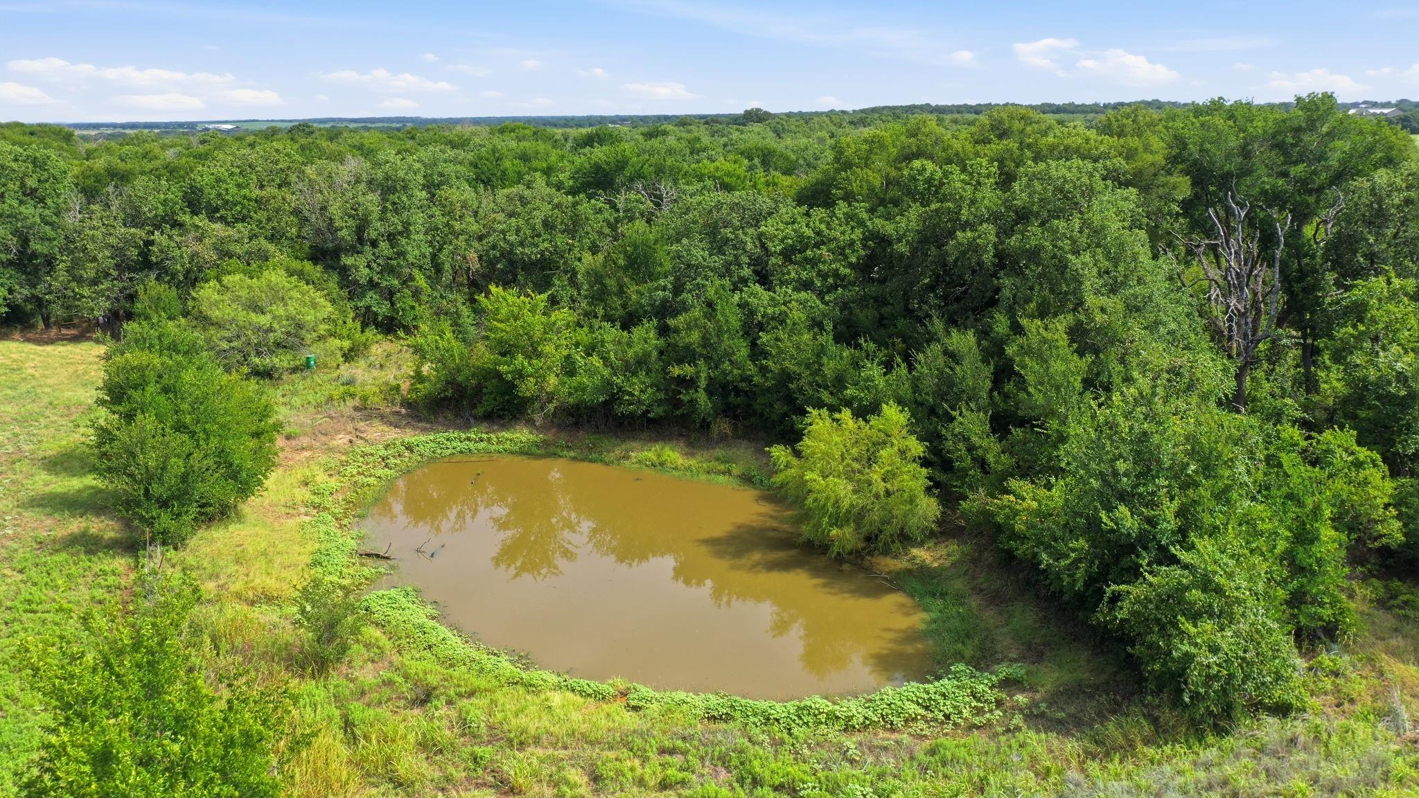 main property photo 31