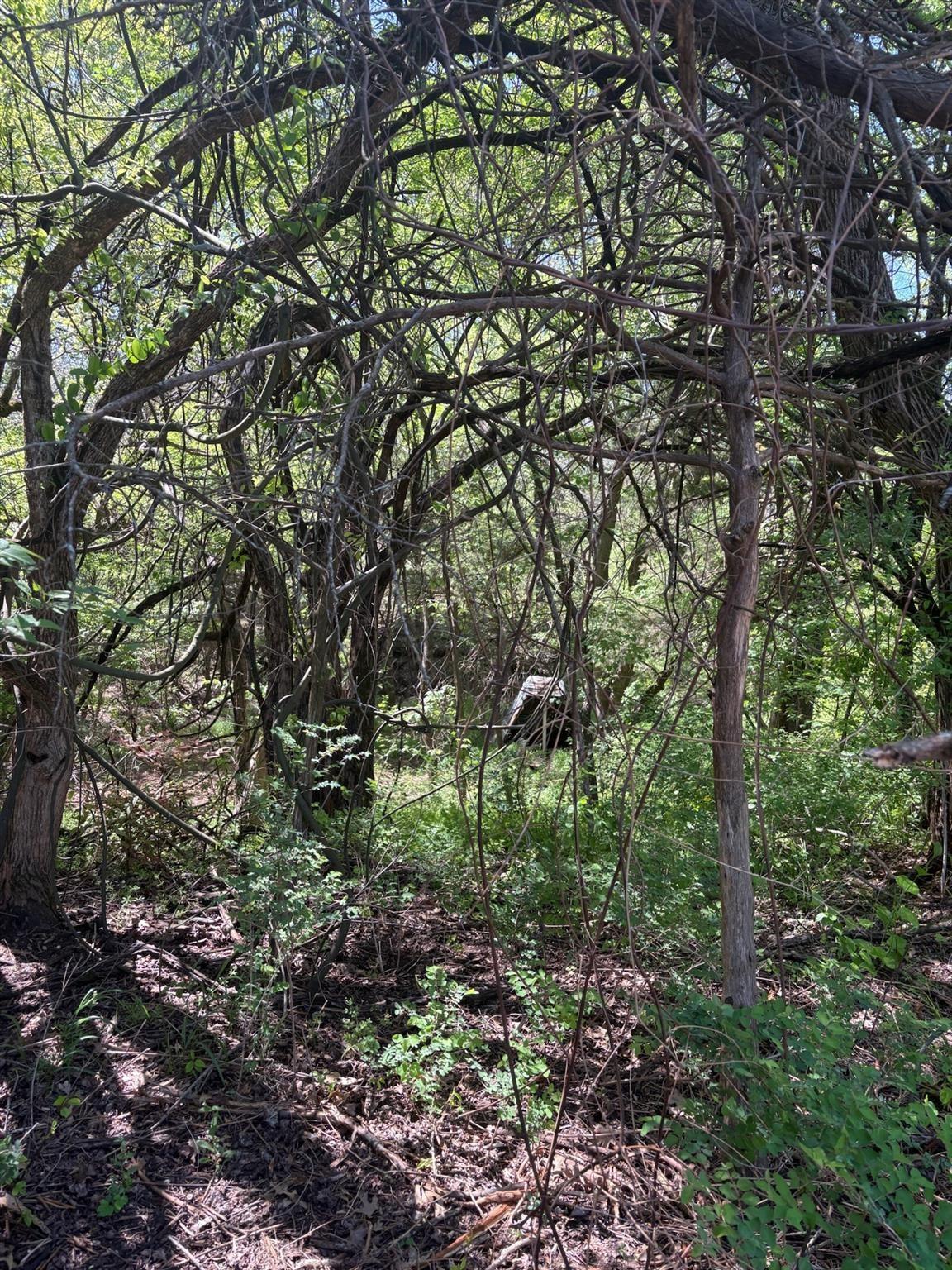 main property photo 14