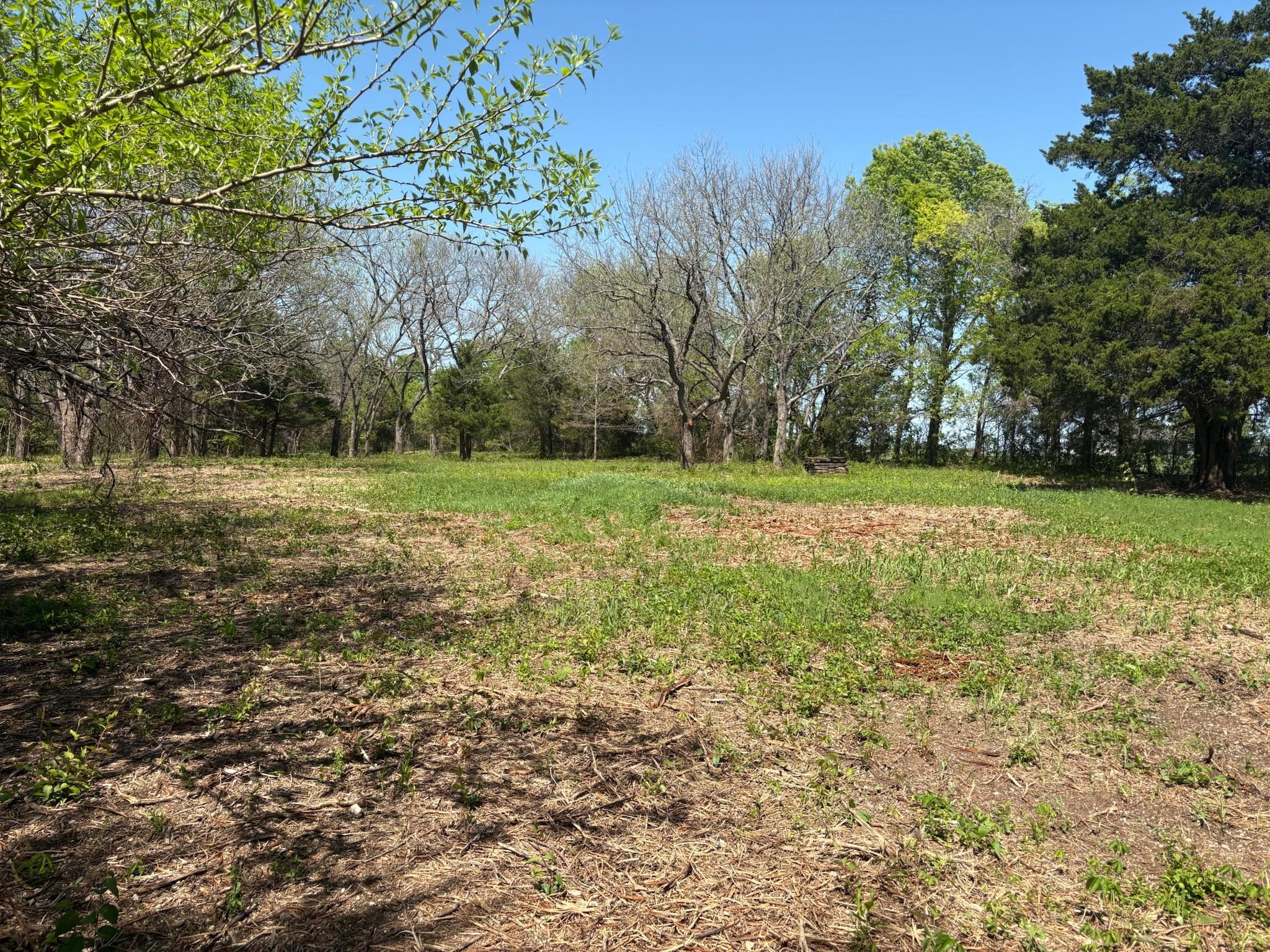 main property photo 7