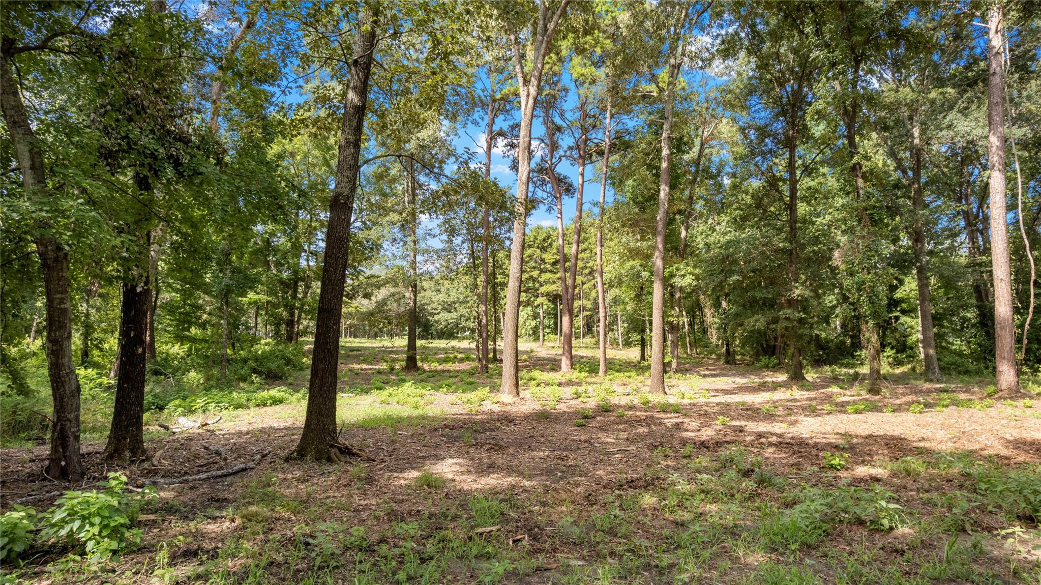 main property photo 12