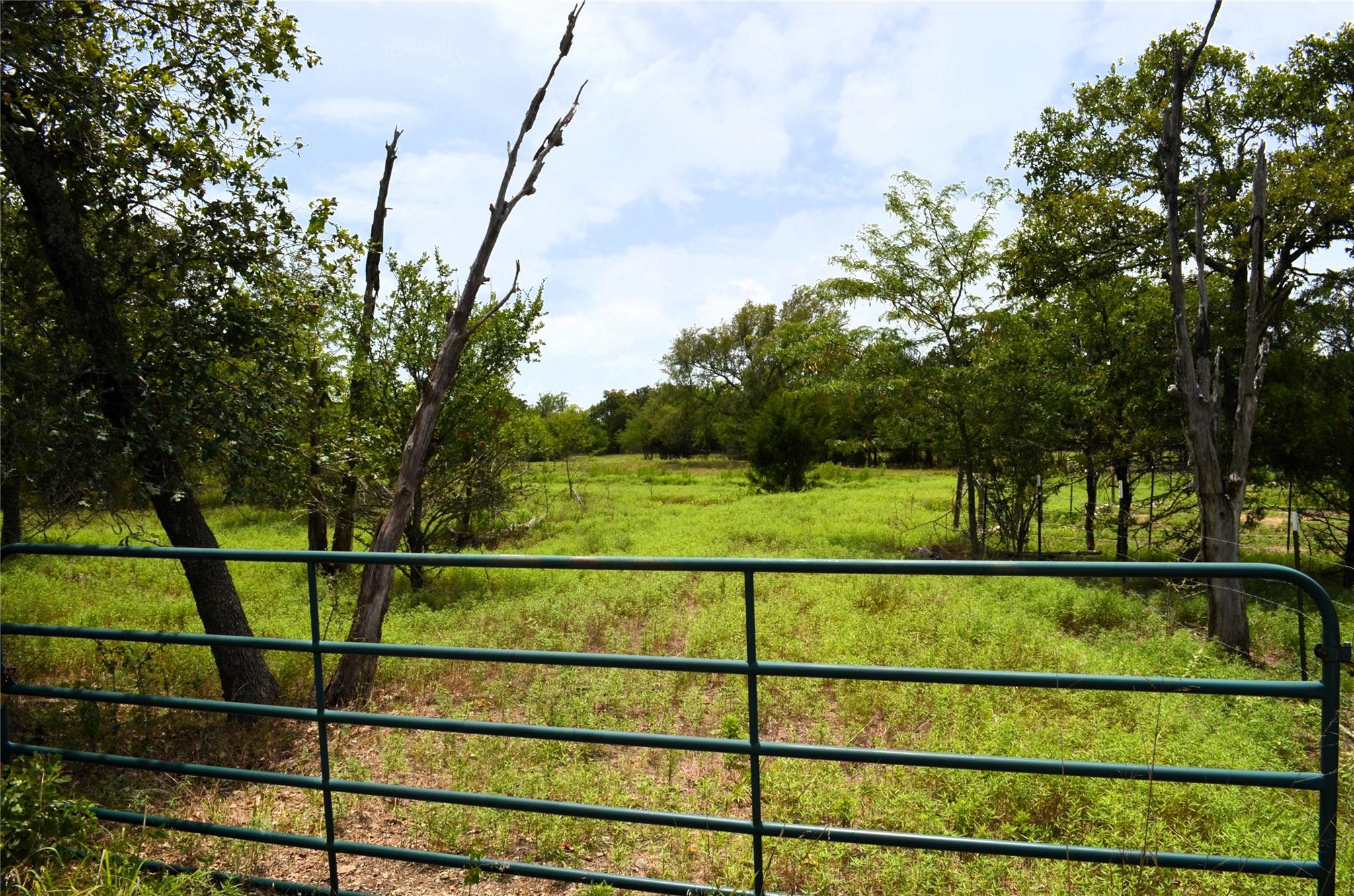 main property photo 24