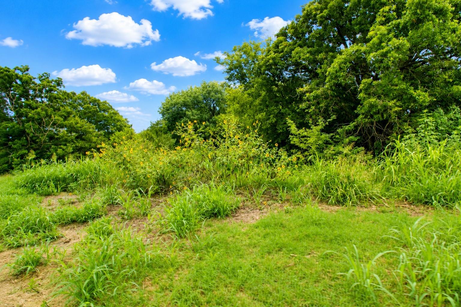 main property photo 11