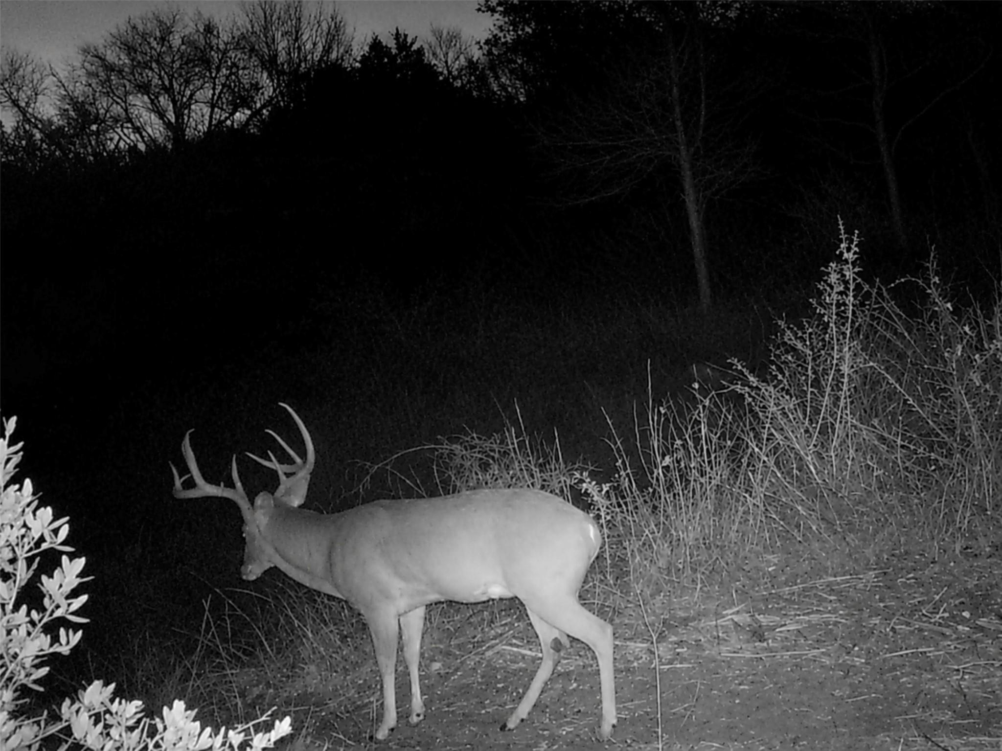 main property photo 38