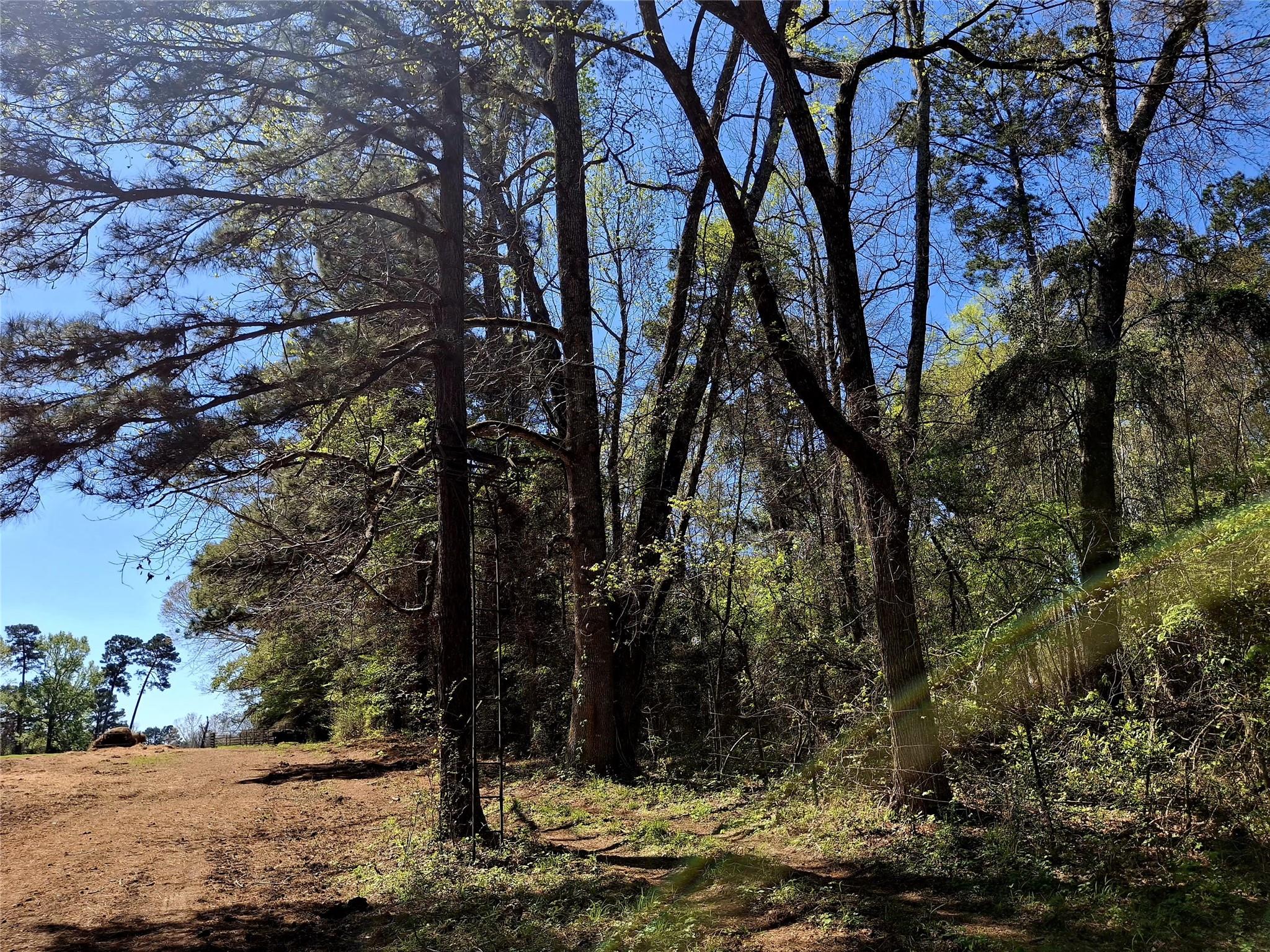 main property photo 11