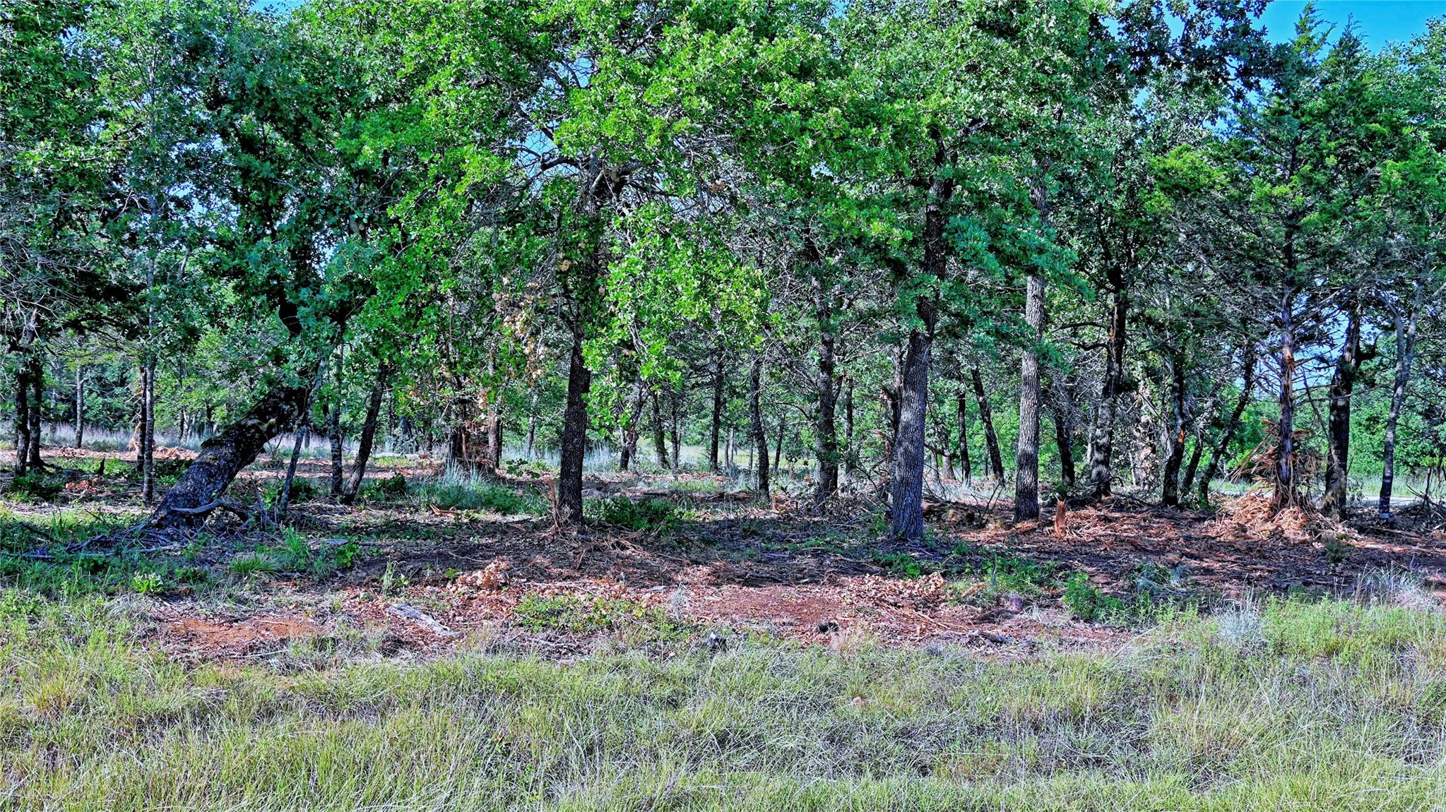 main property photo 33