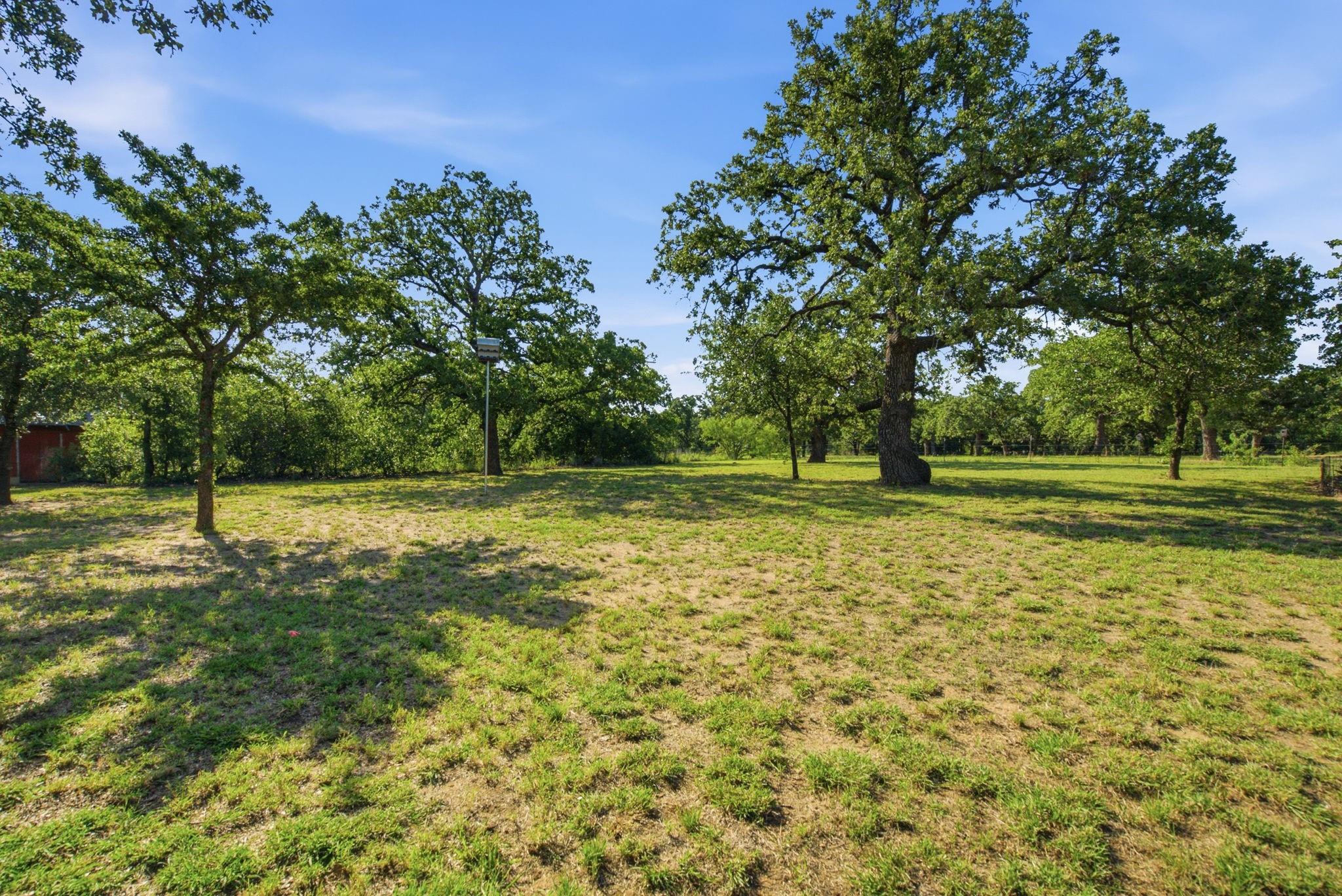 main property photo 35