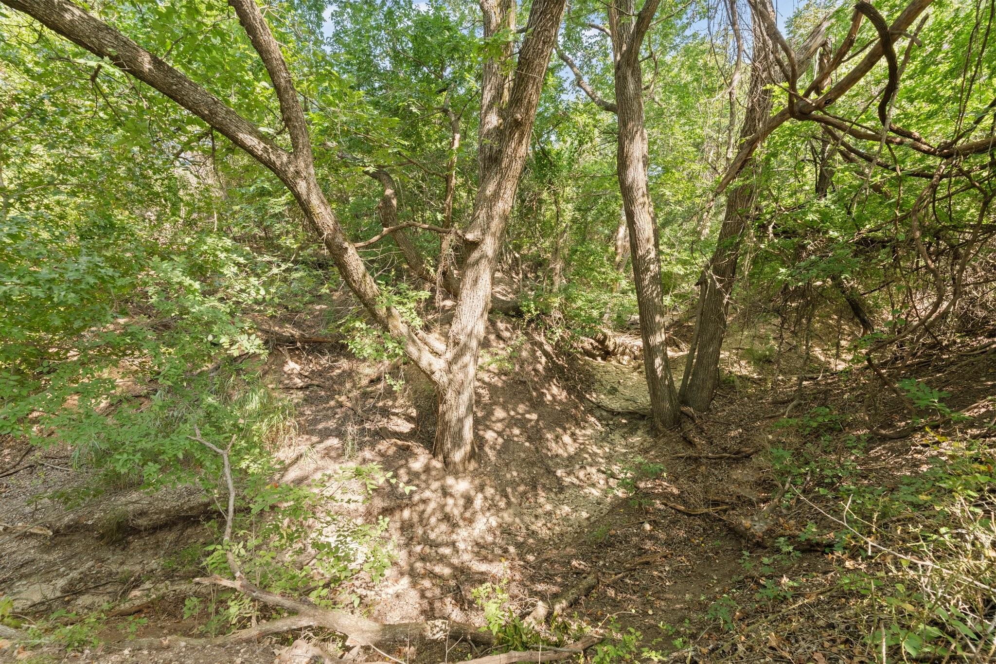main property photo 38