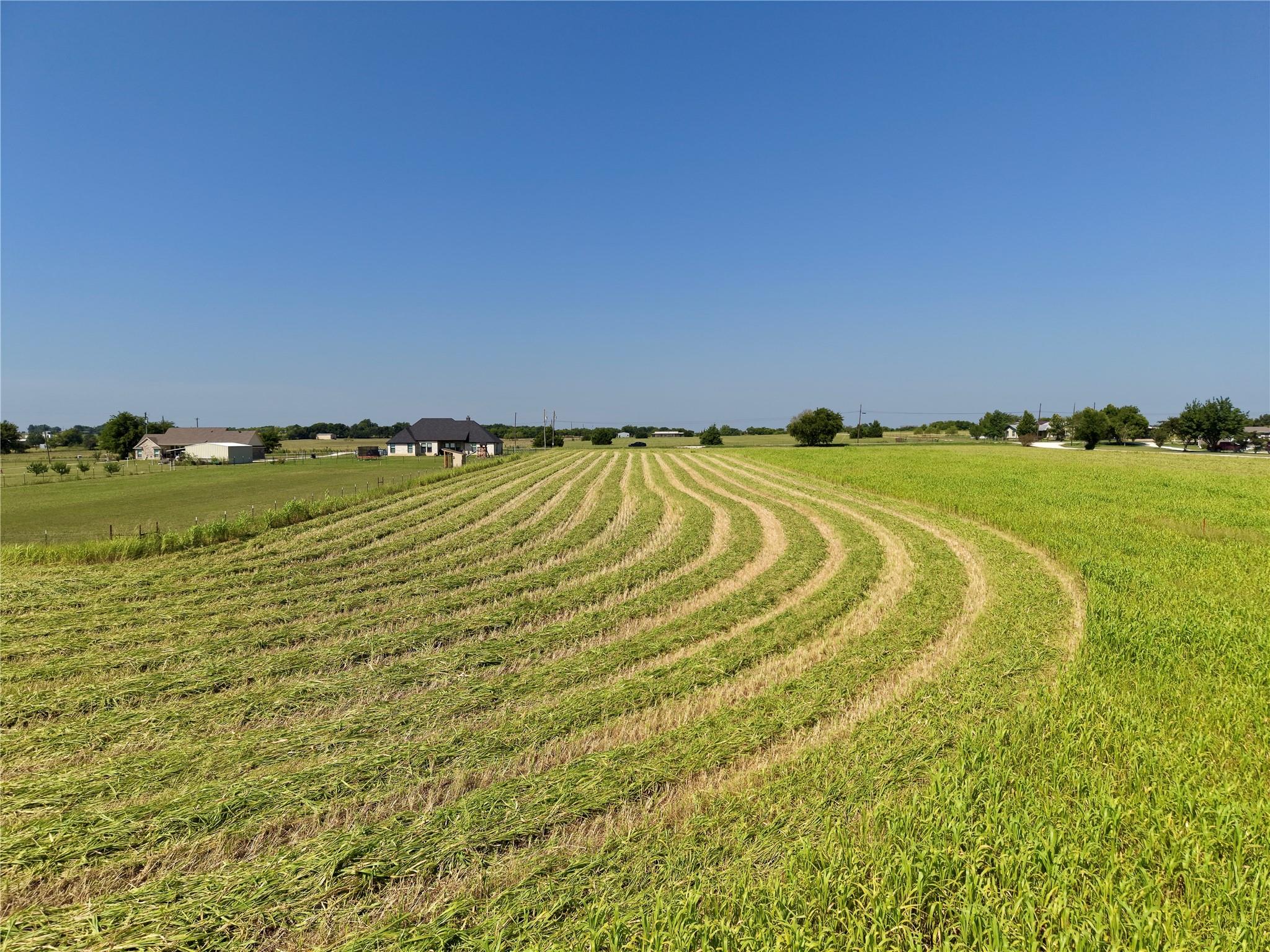 main property photo 7
