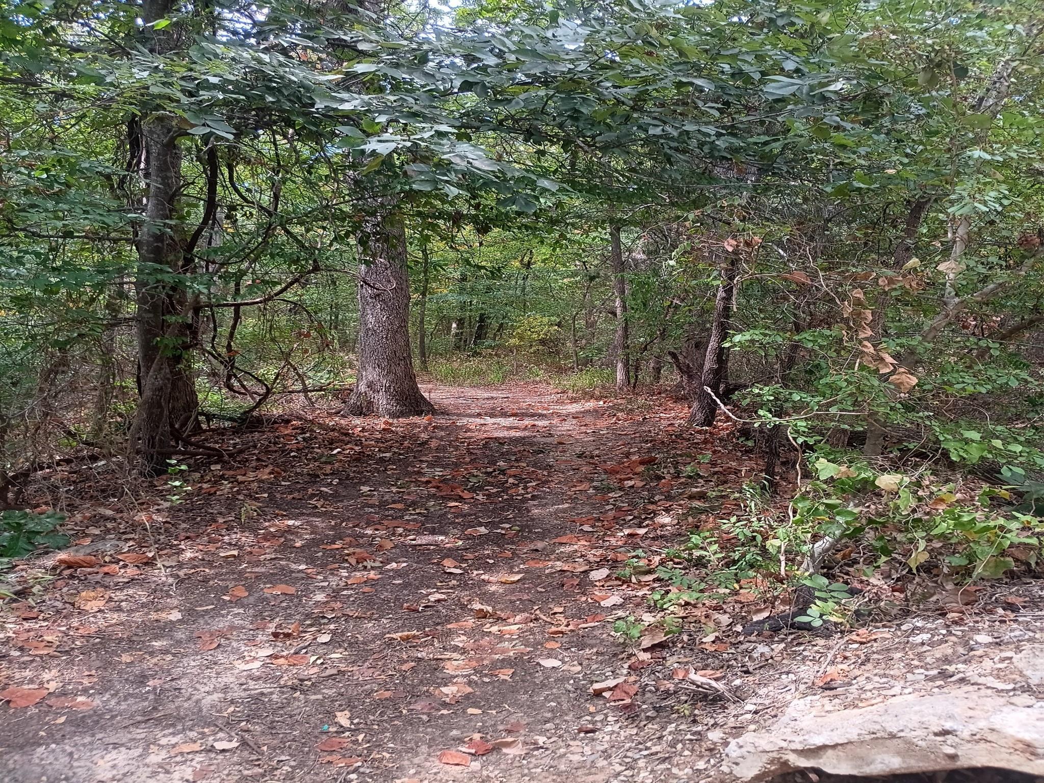 main property photo 7