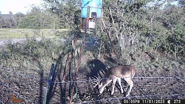 main property photo 19